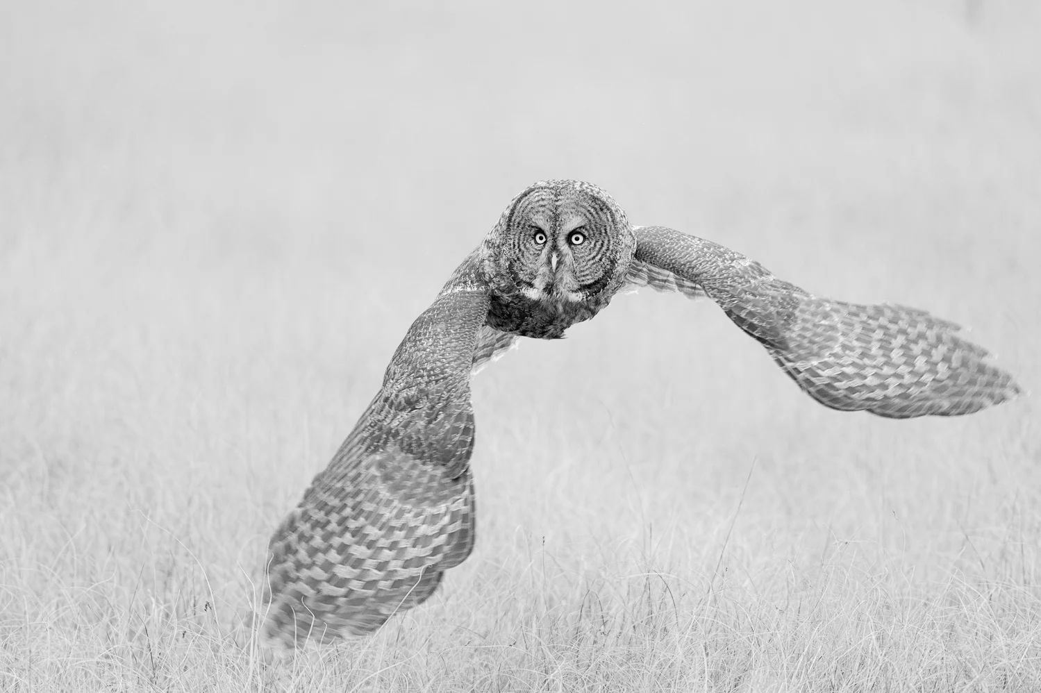 _D416281-Edit.jpg