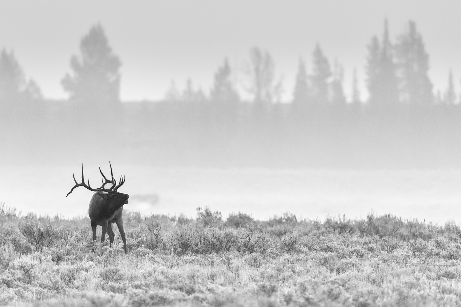_D8E9896-Edit.jpg