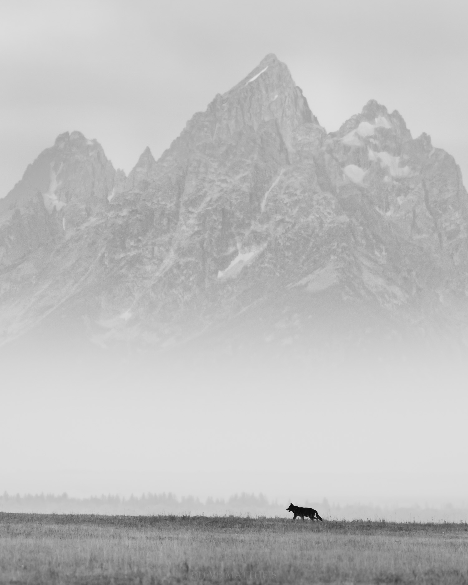 D41_5067-Edit-2.jpg