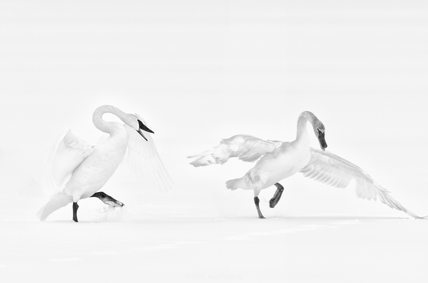 D7K_9952-Edit.jpg