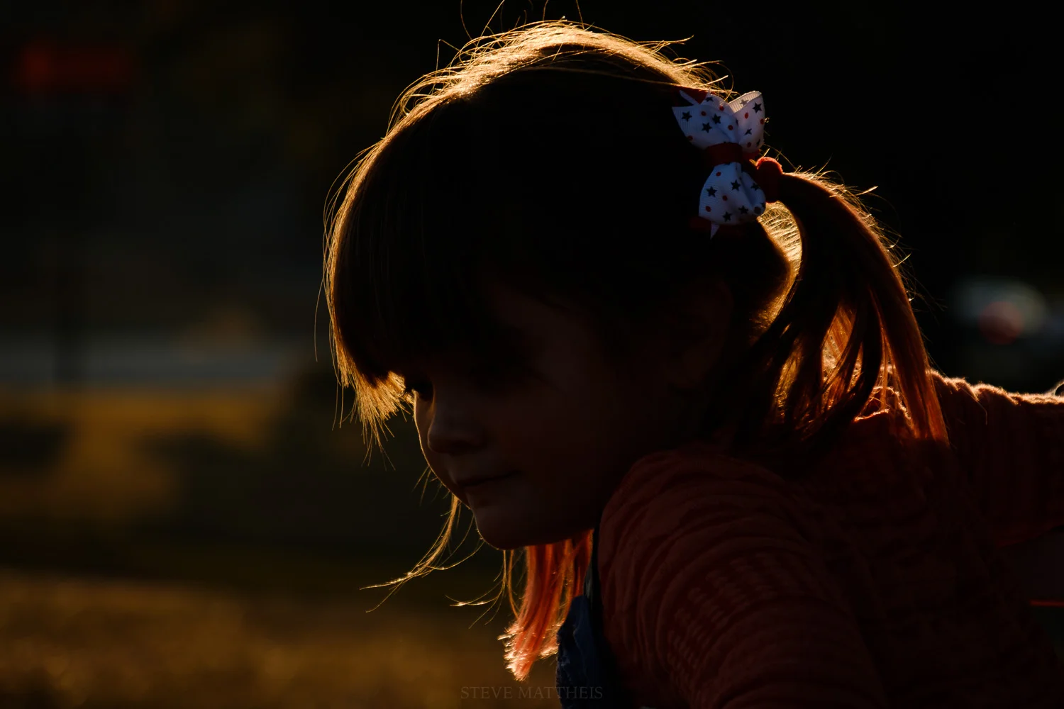 XT222855.jpg