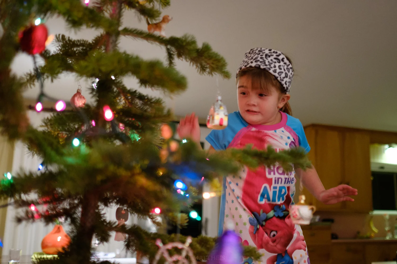 XT217668.jpg