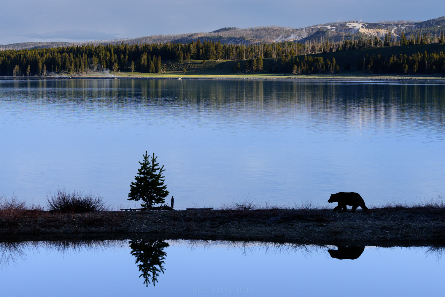 D81_7119.jpg
