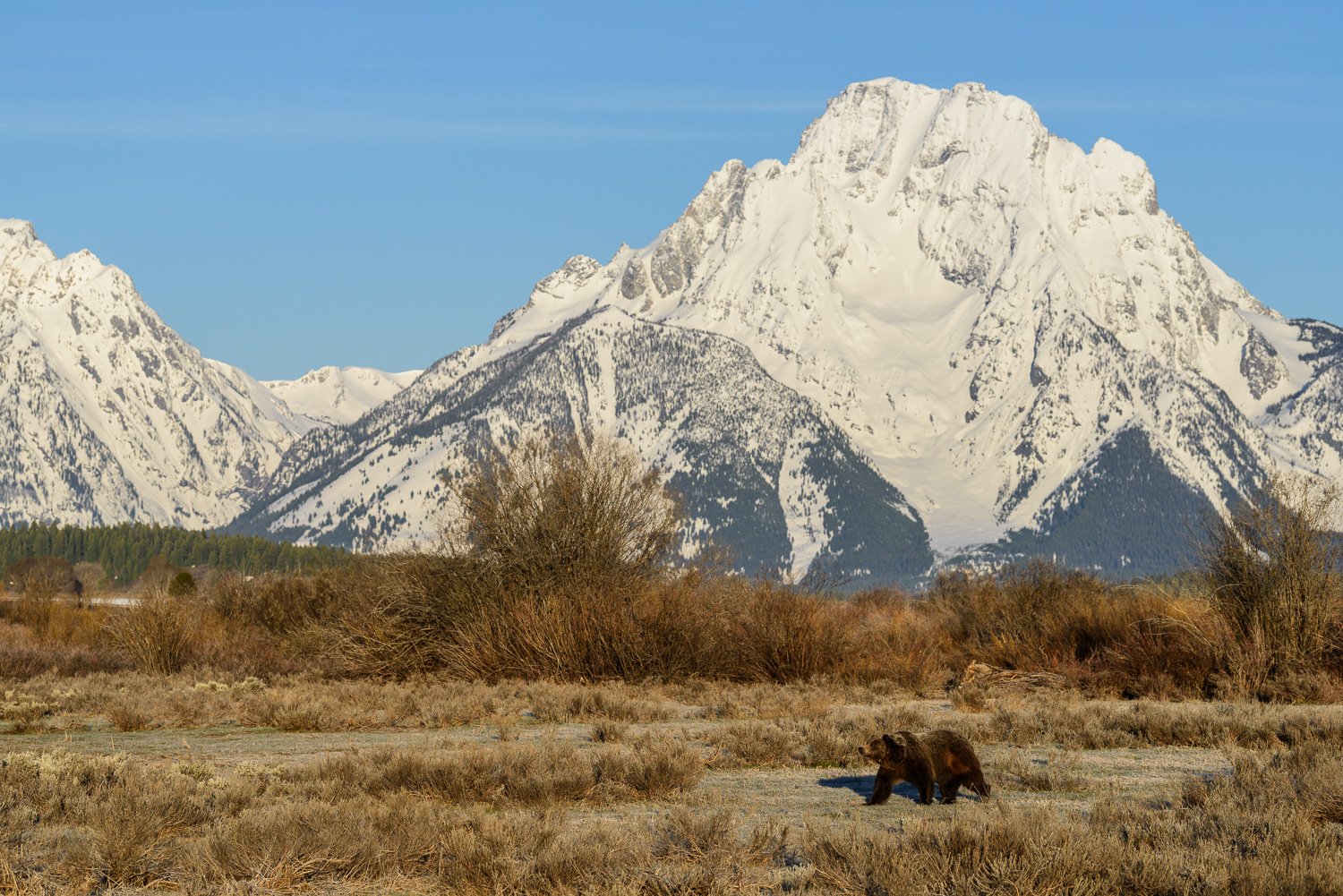 D81_6200.jpg