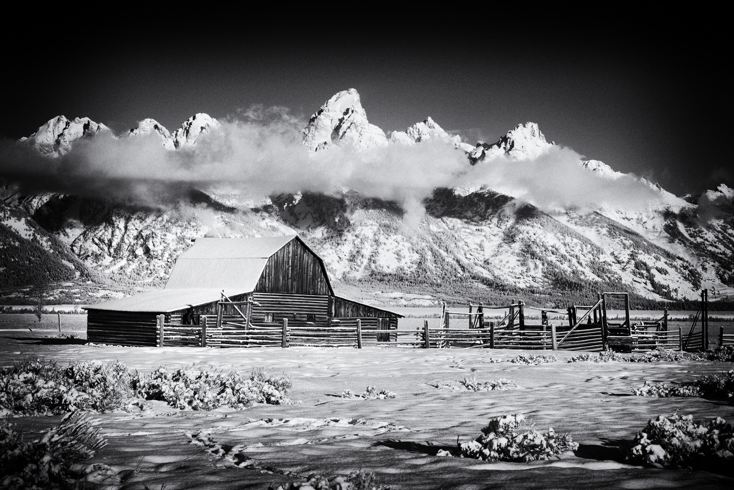 D81_5290-Edit.jpg
