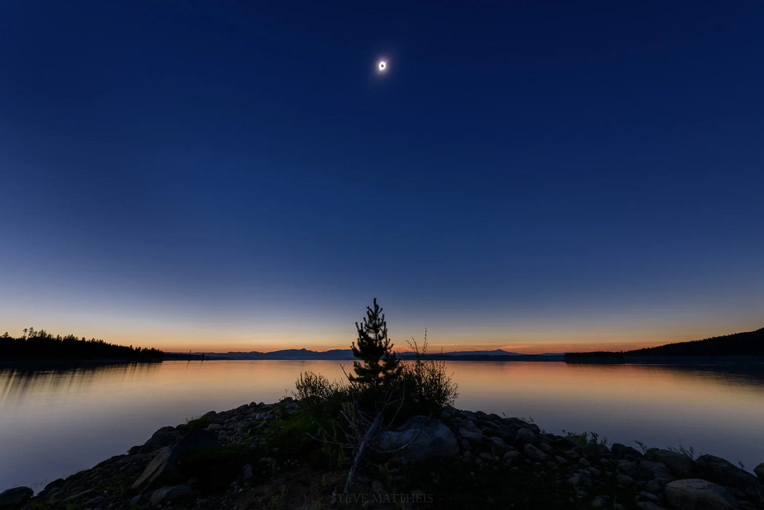 D81_8533.jpg
