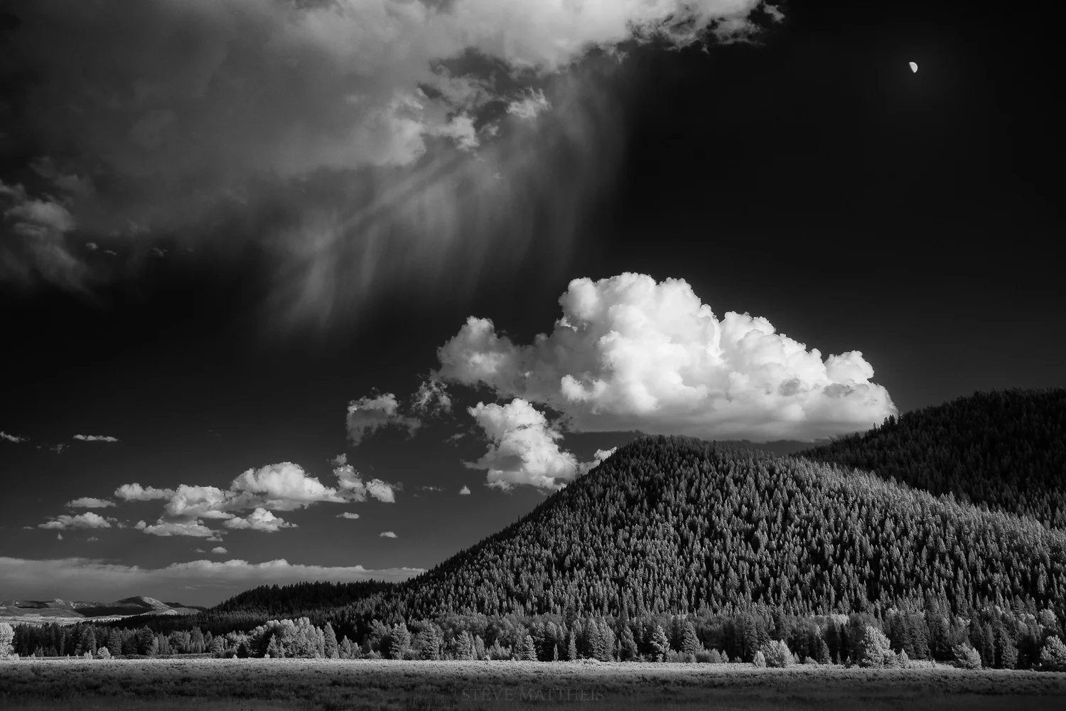 IRXT2390-Edit-3.jpg