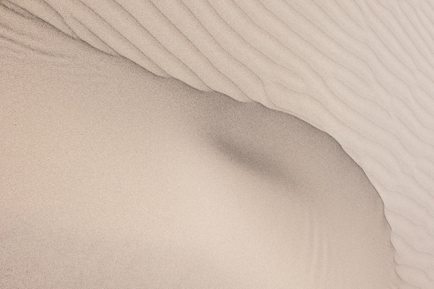 XH116791.jpg