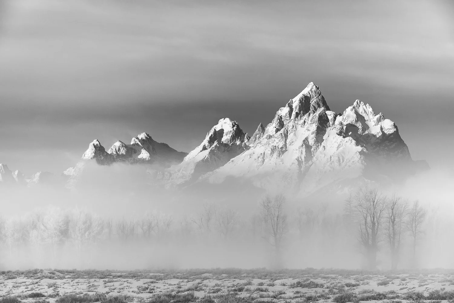 XT223519-Edit.jpg
