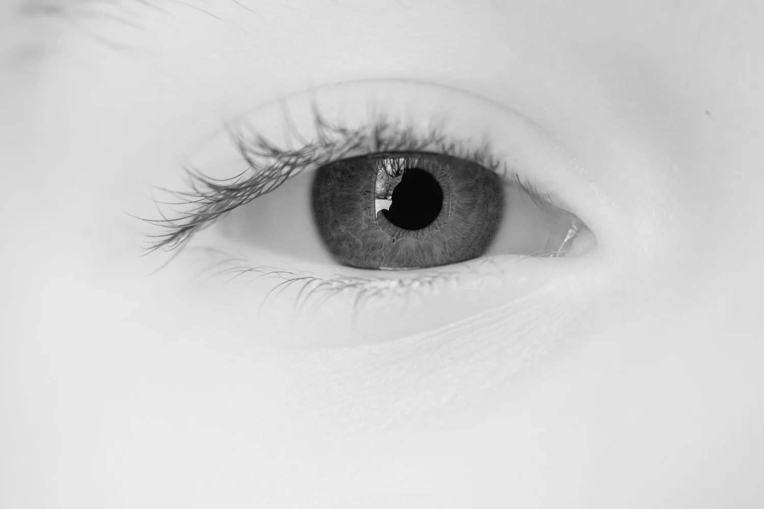 IRXT1382.jpg