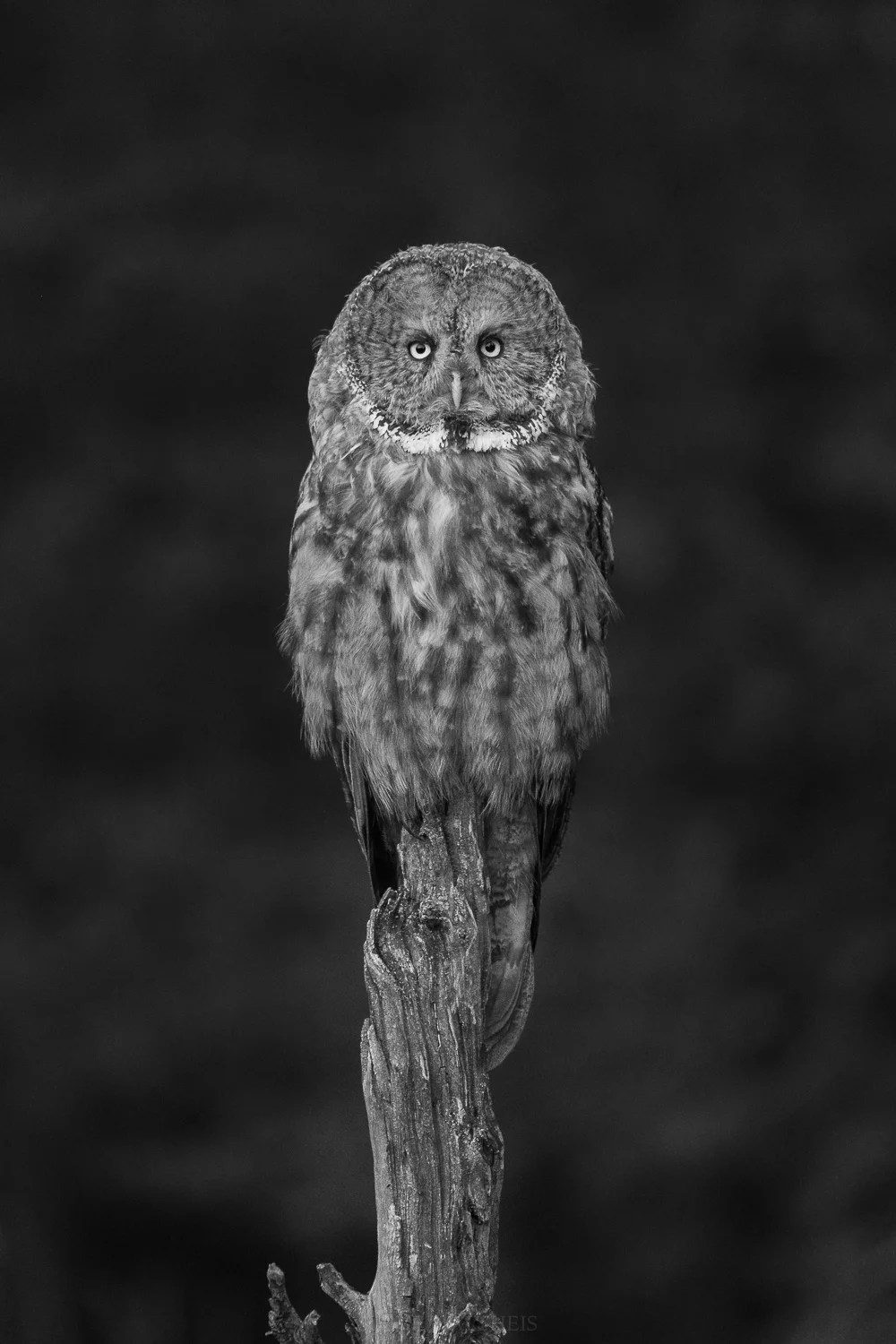 850_2873-Edit.jpg