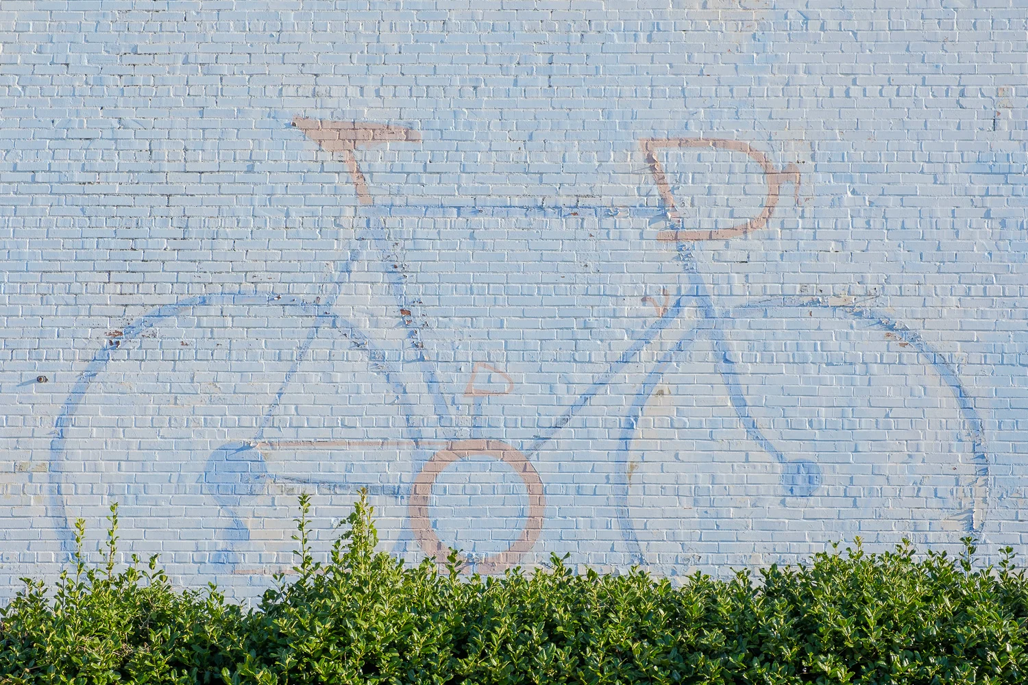 XH111571.jpg