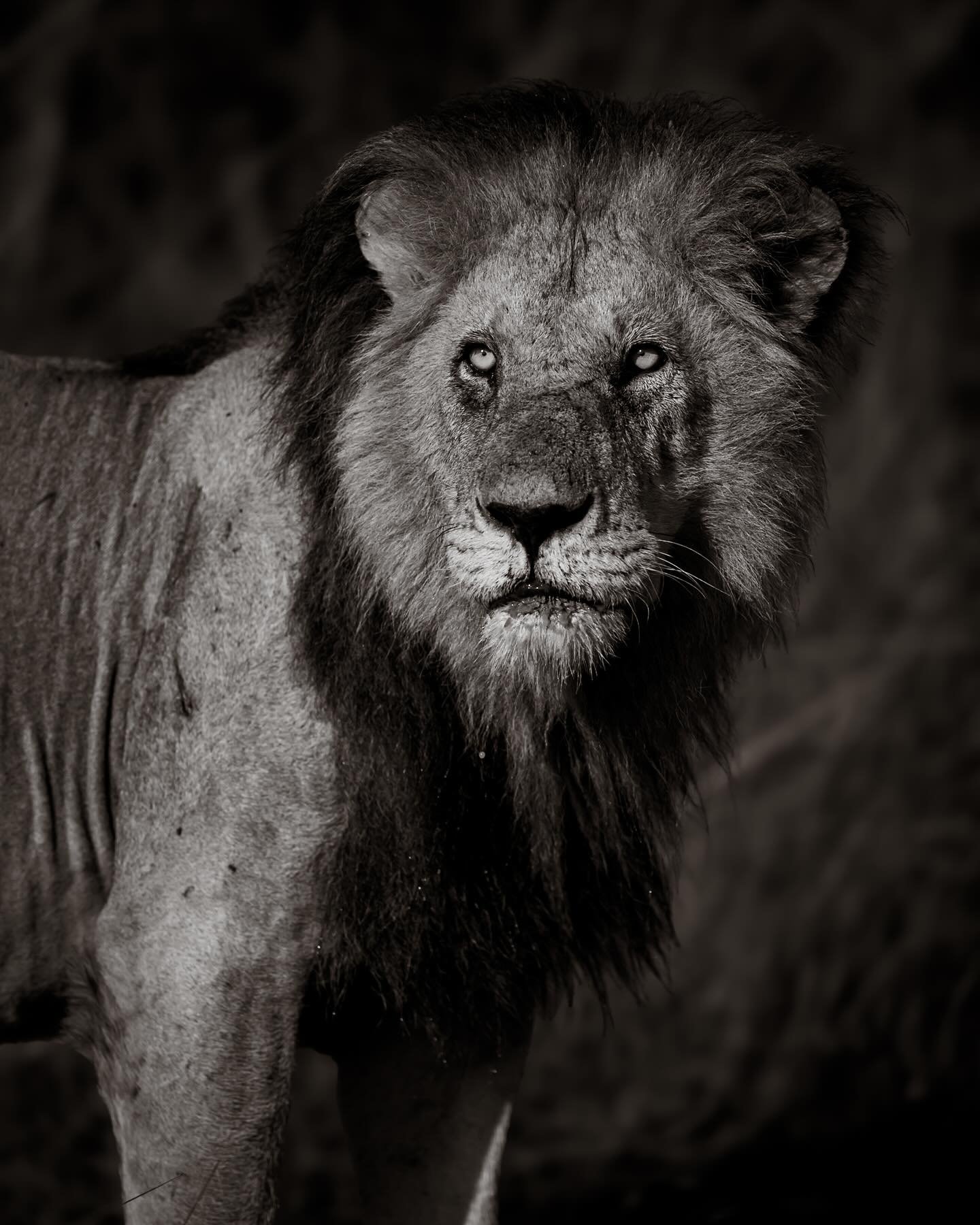 Only 1 spot left on my 2026 Kenya trip, grab it quick if you want to come in January&hellip;