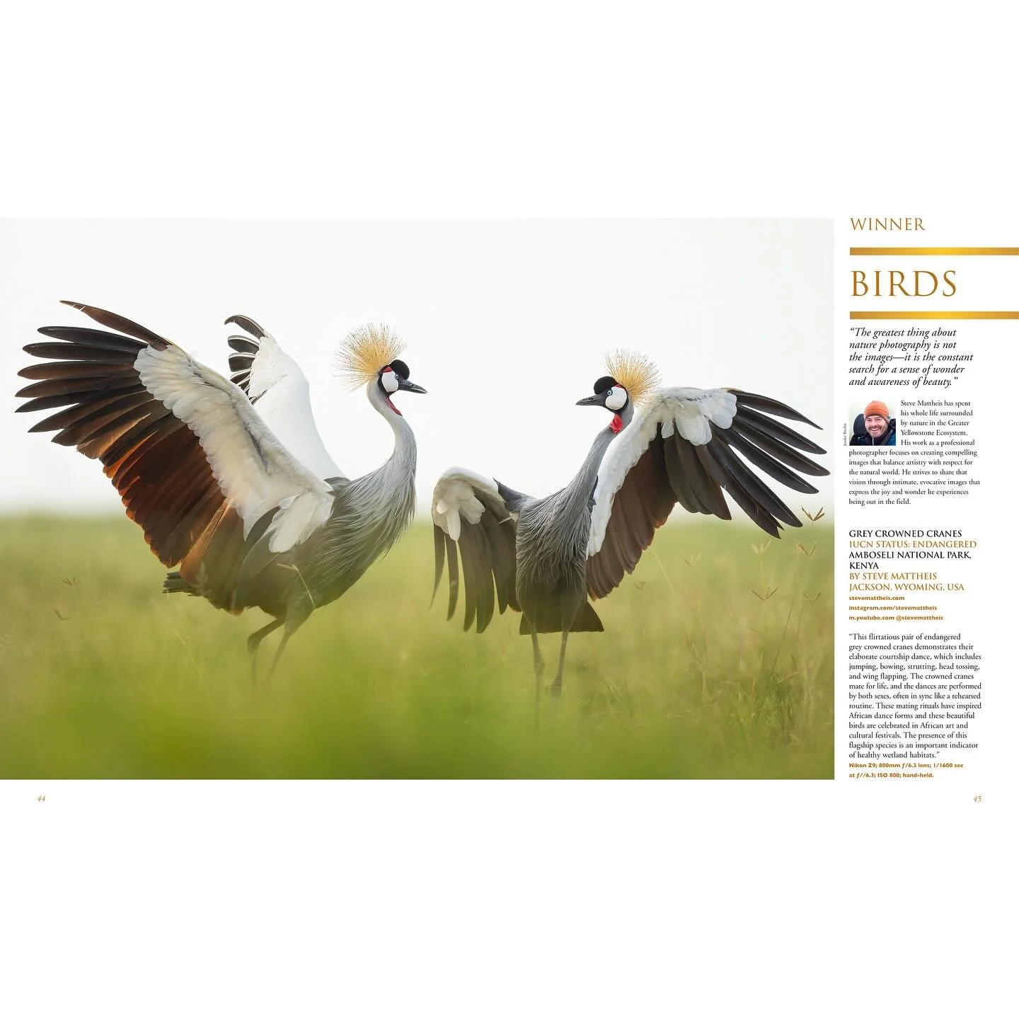 I am happy to say that my photo has been selected as the Winner of the Birds Category in the 2025 Nature&rsquo;s Best Photography International Awards! It&rsquo;s especially cool because it is a photo I took on safari last year of a pair of Gray Crow