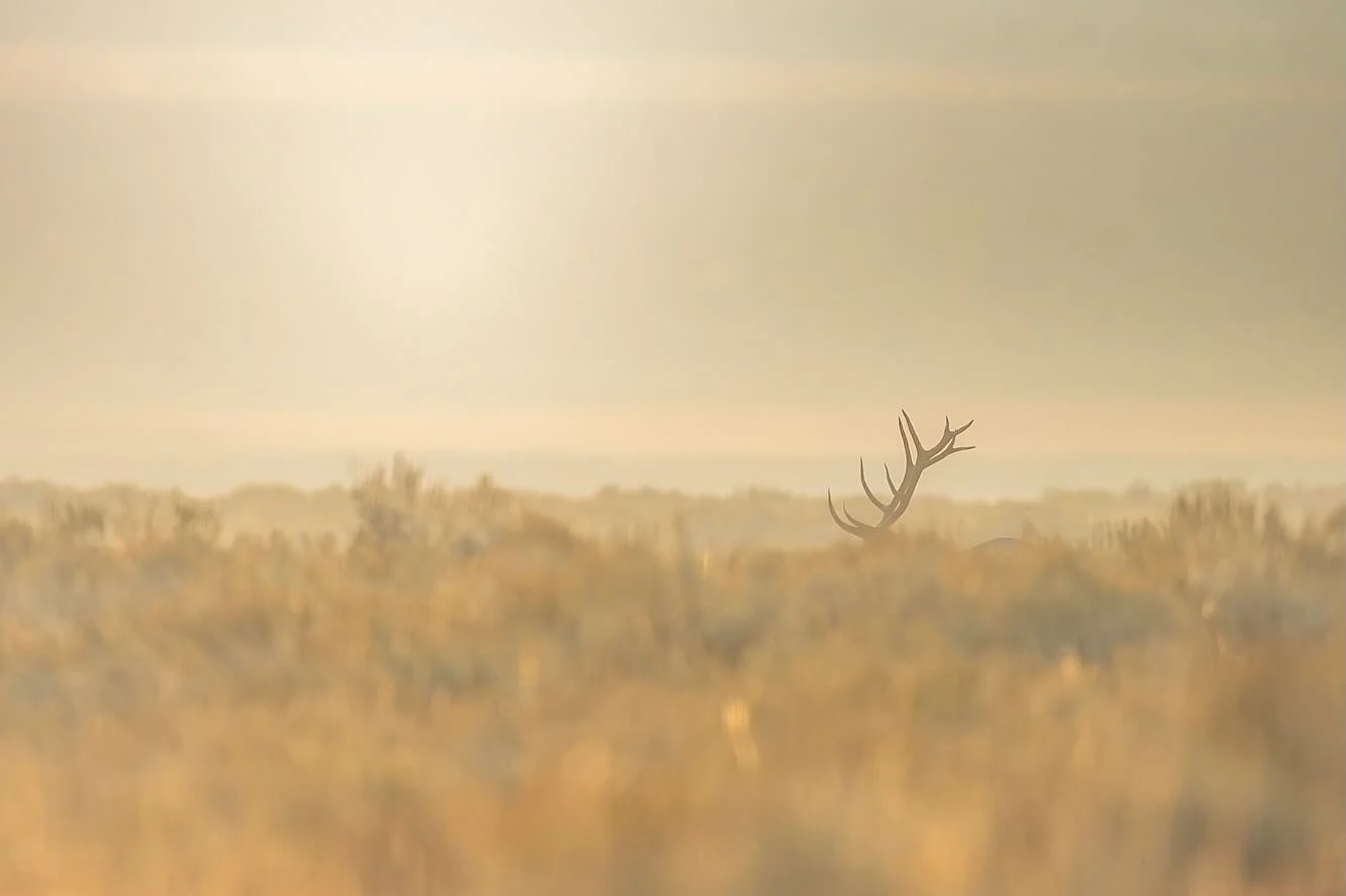 One September morning