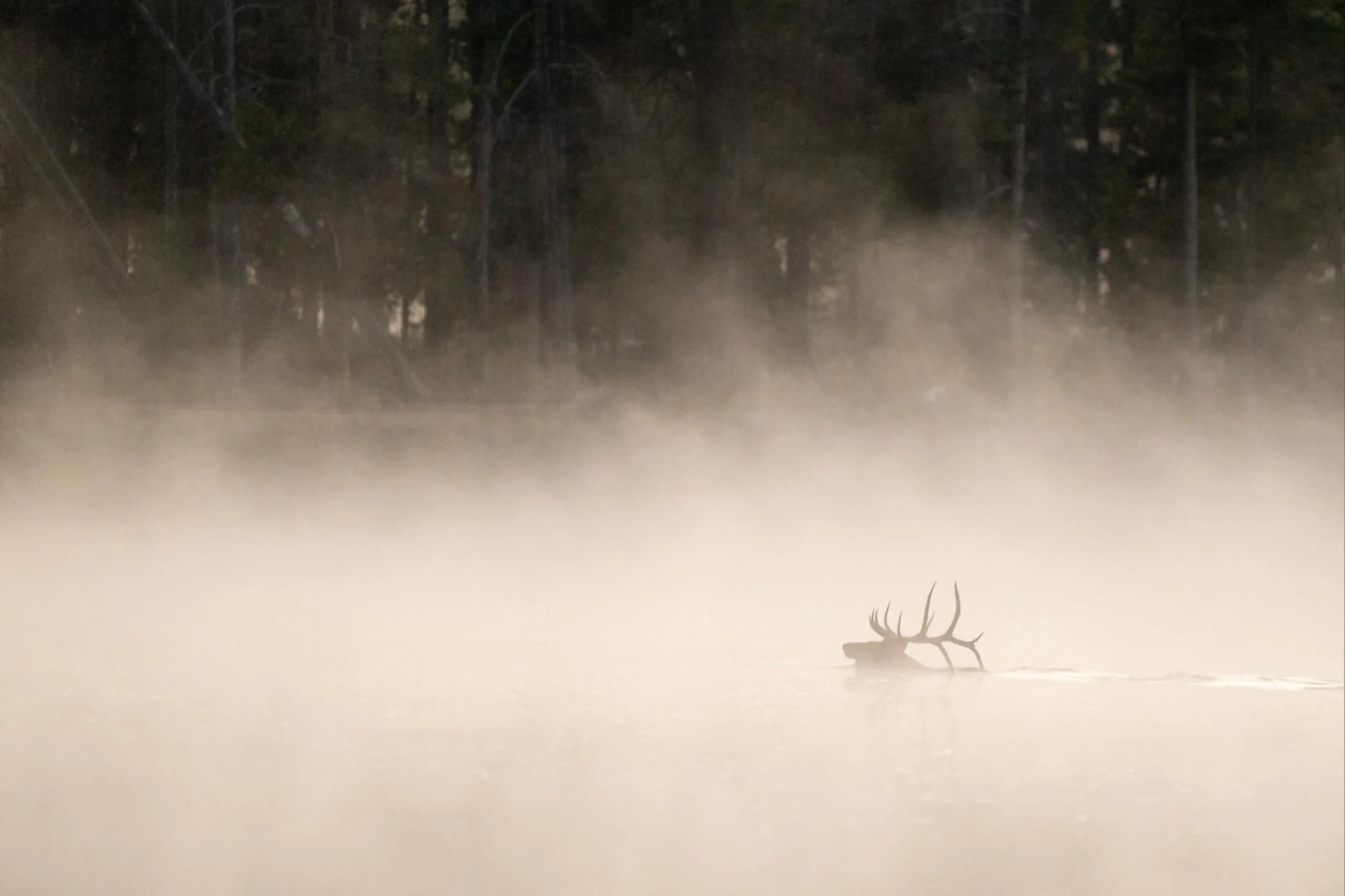 Sometimes it happens