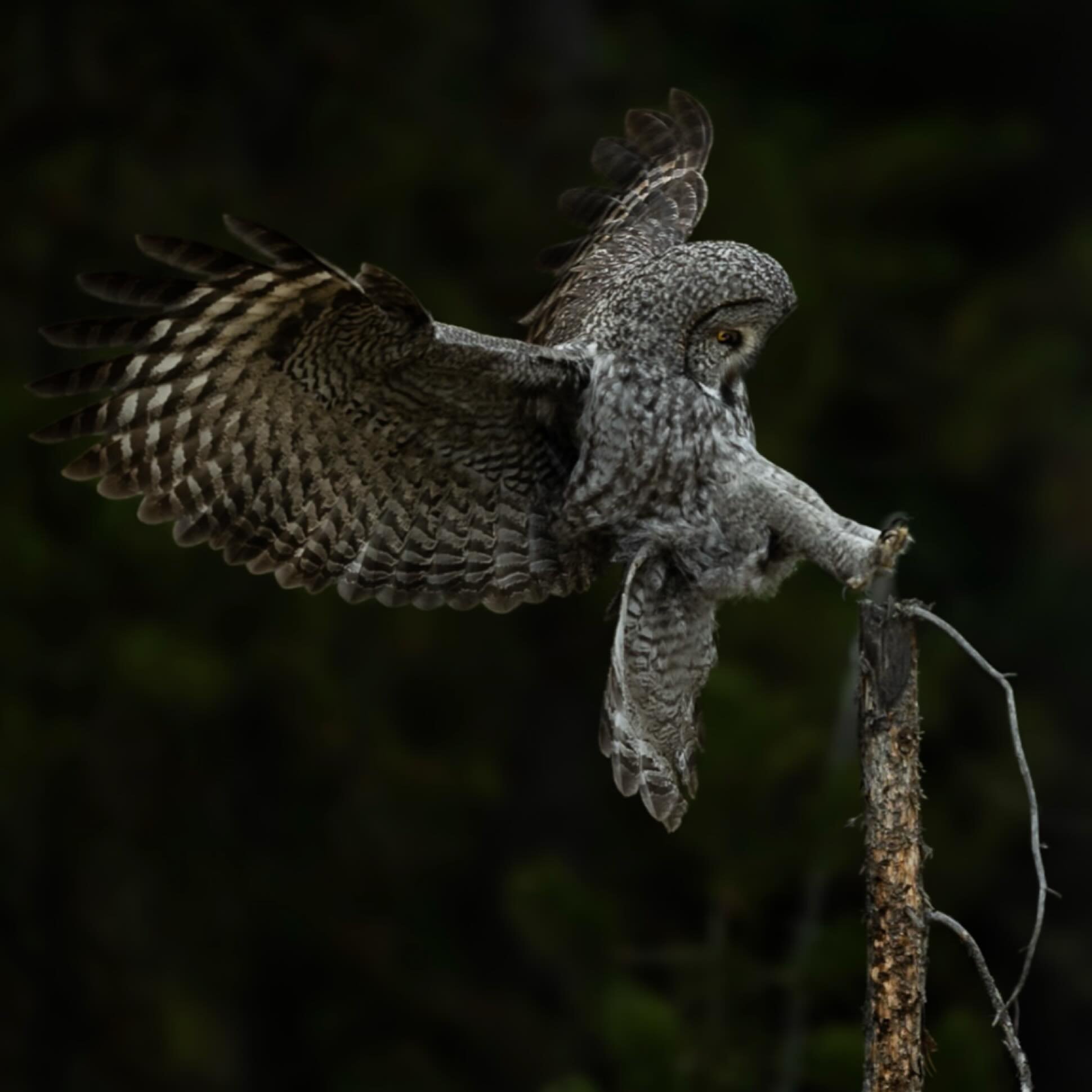 Arriving in 2026 like a ggo&hellip;