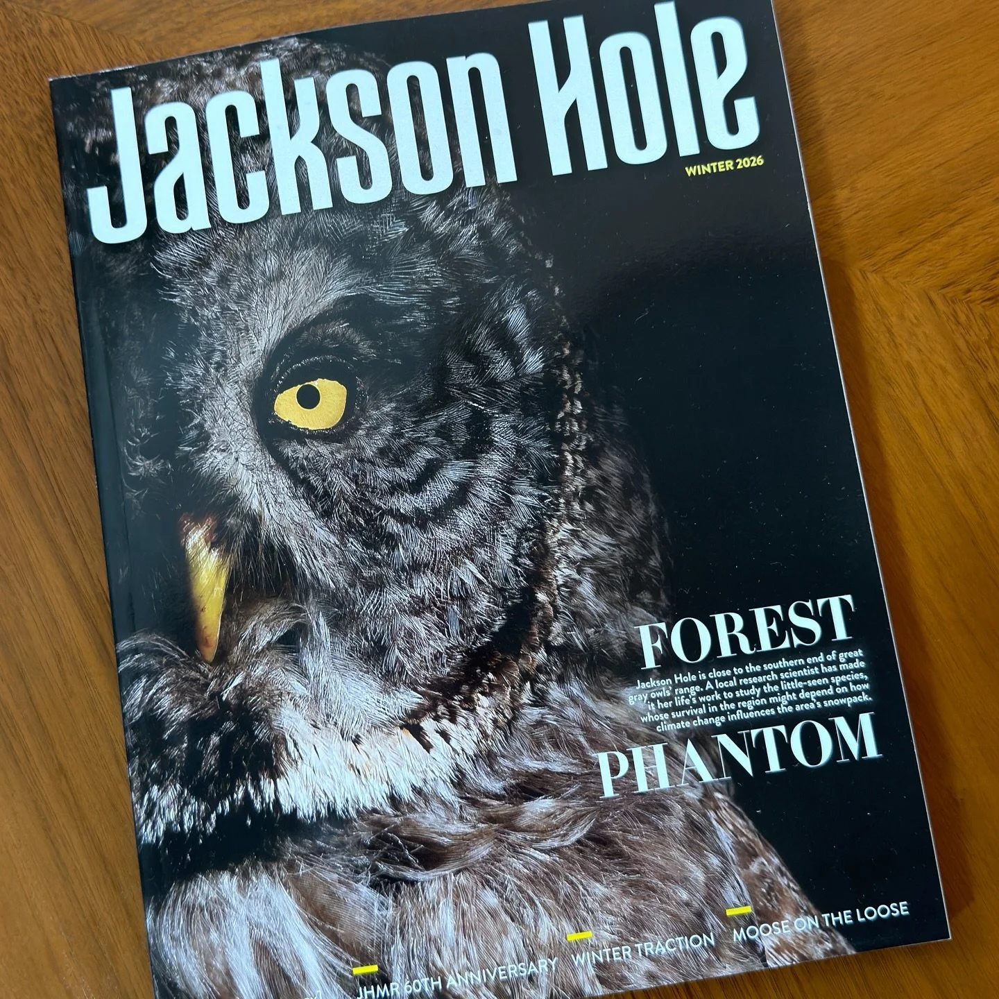 The cover looks beautiful @jacksonholemag ! Thanks for featuring my favorite critter 🦉