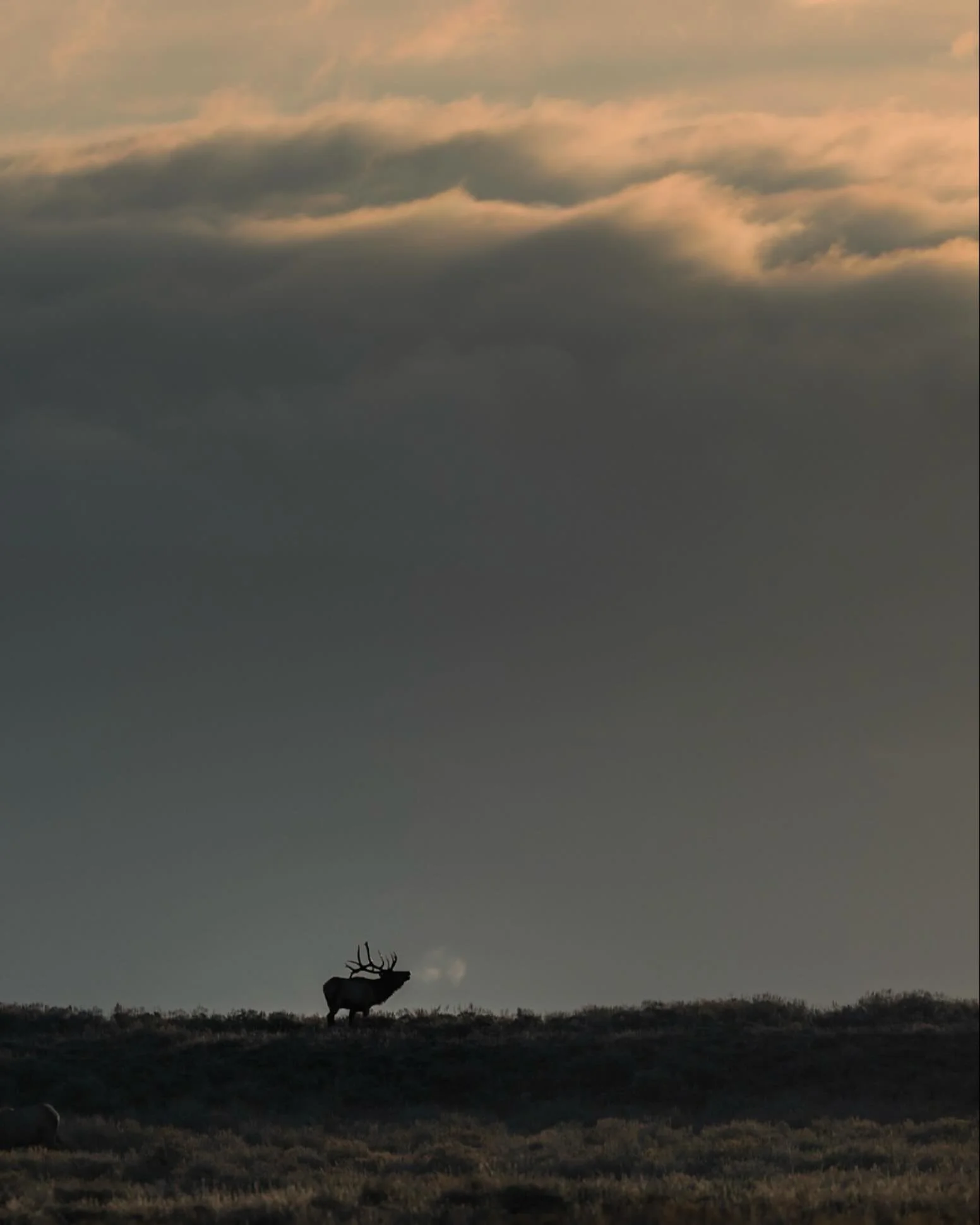 Small in frame, big in wonder