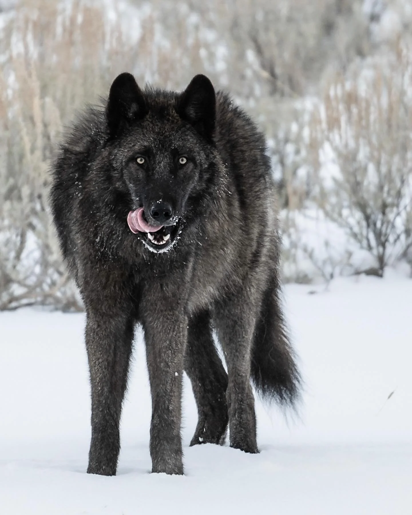 Posing for the photographers. Much appreciated!
