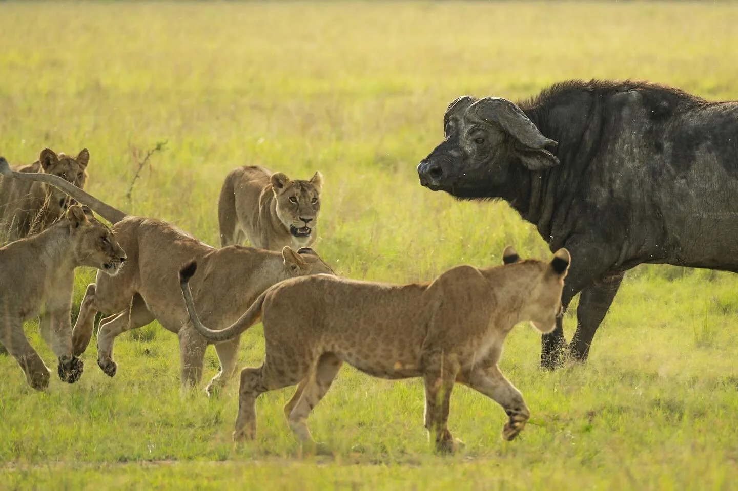 I think this is what they call &ldquo;being in a pickle&rdquo;