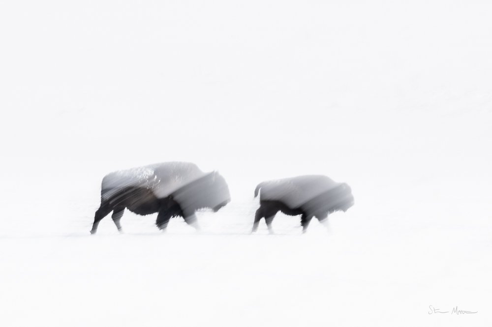 Z9A_9148 2-Edit.jpg