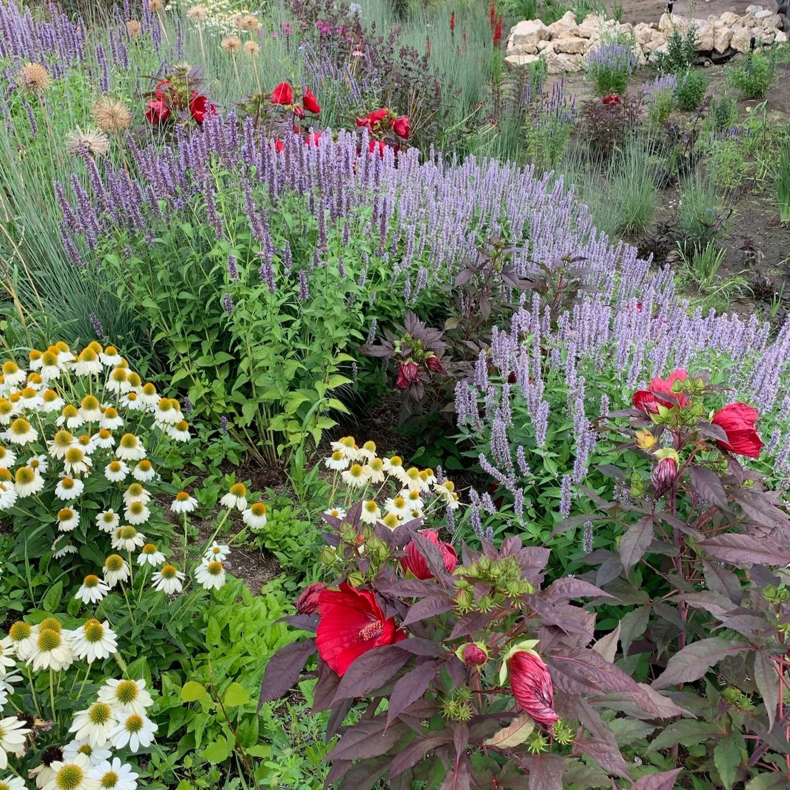 Intro — Walkabout Outdoor