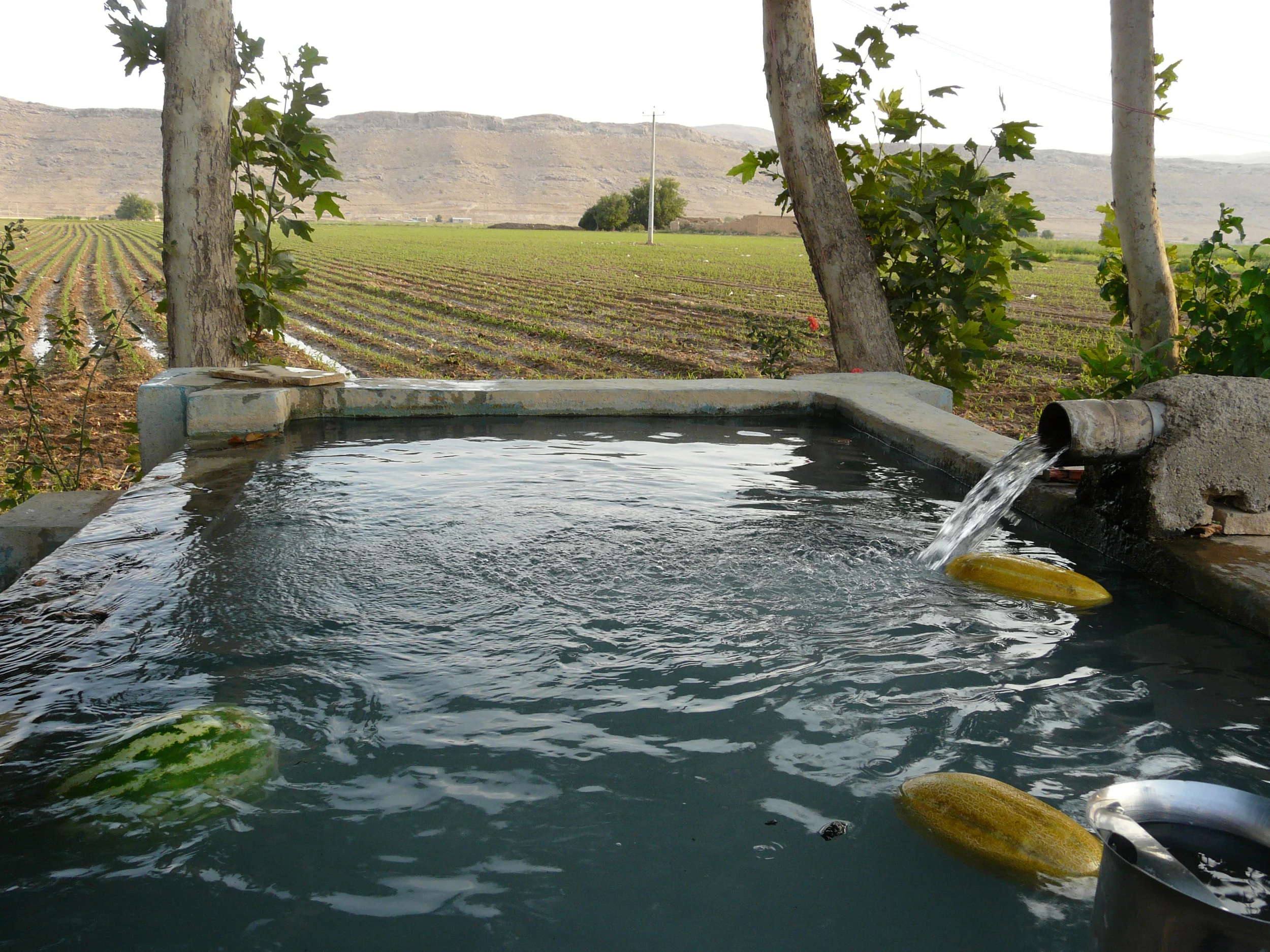 iran farm.jpg