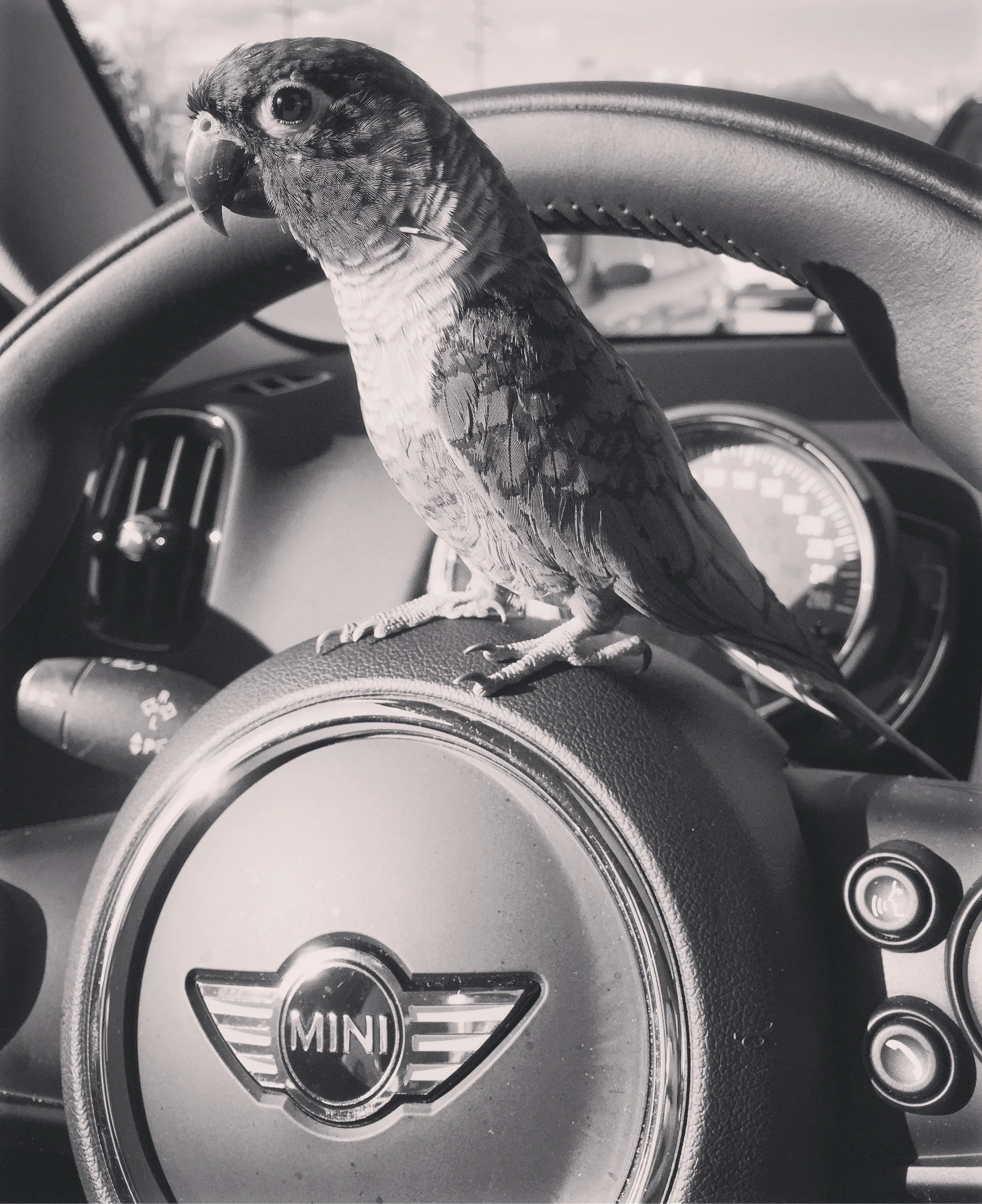 Personal photo - Canada