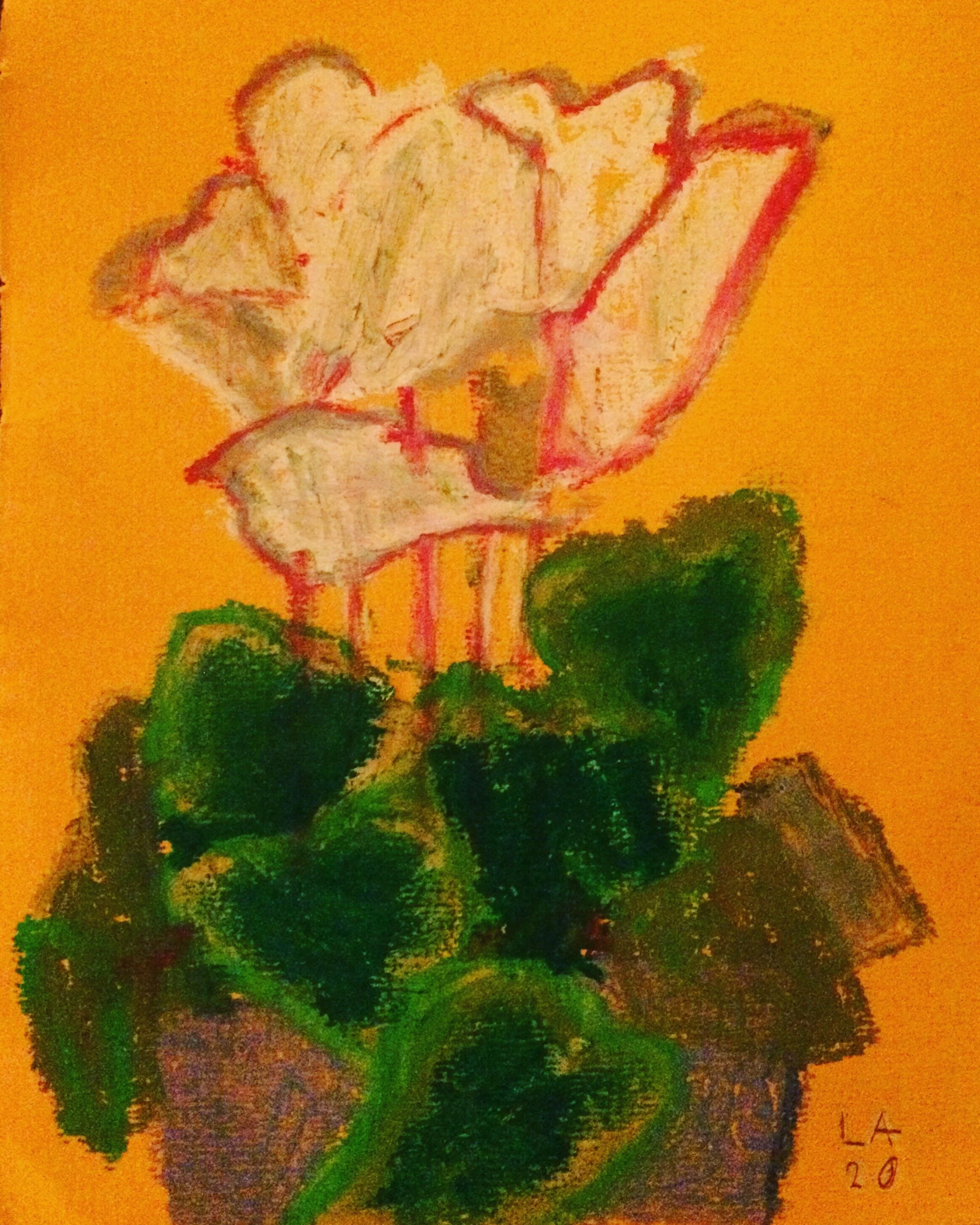 "C", (Cyclamen), 15 cm X 20 cm, oil pastel on paper.