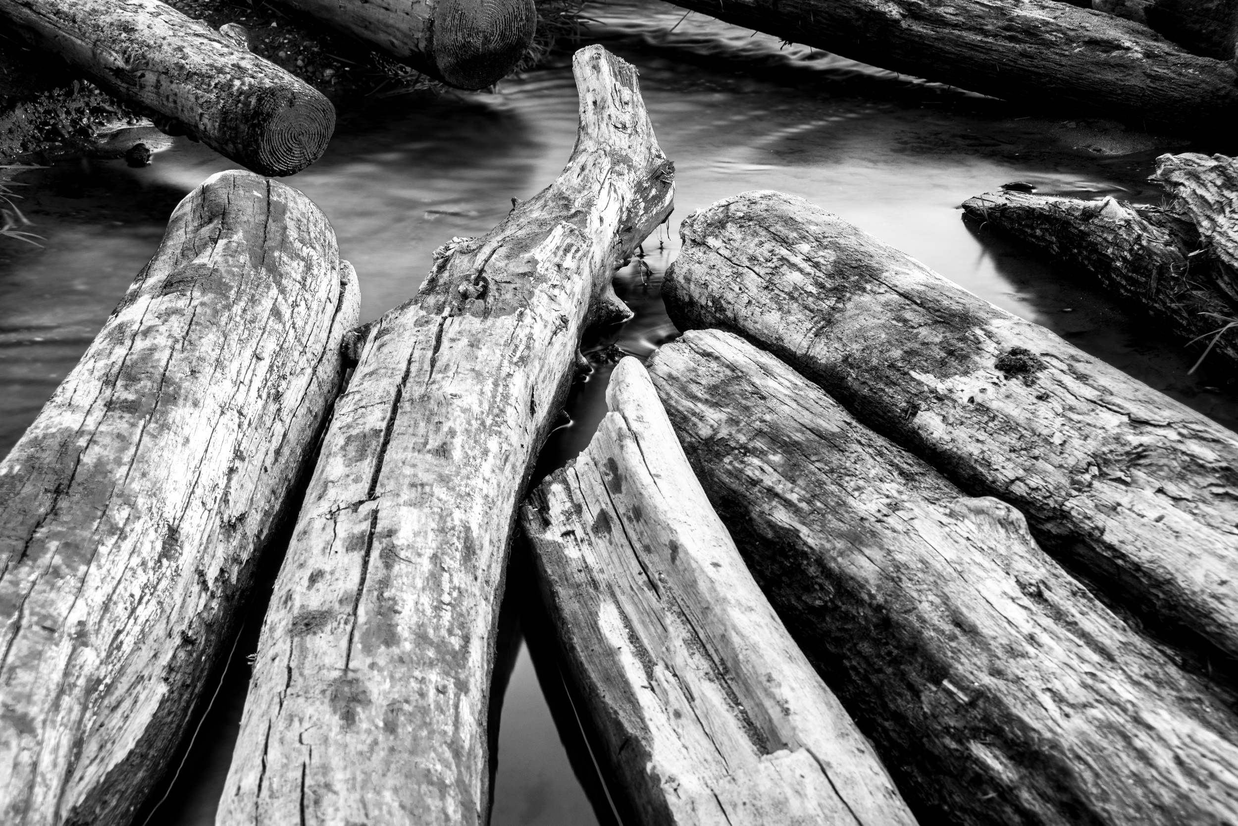 Beached