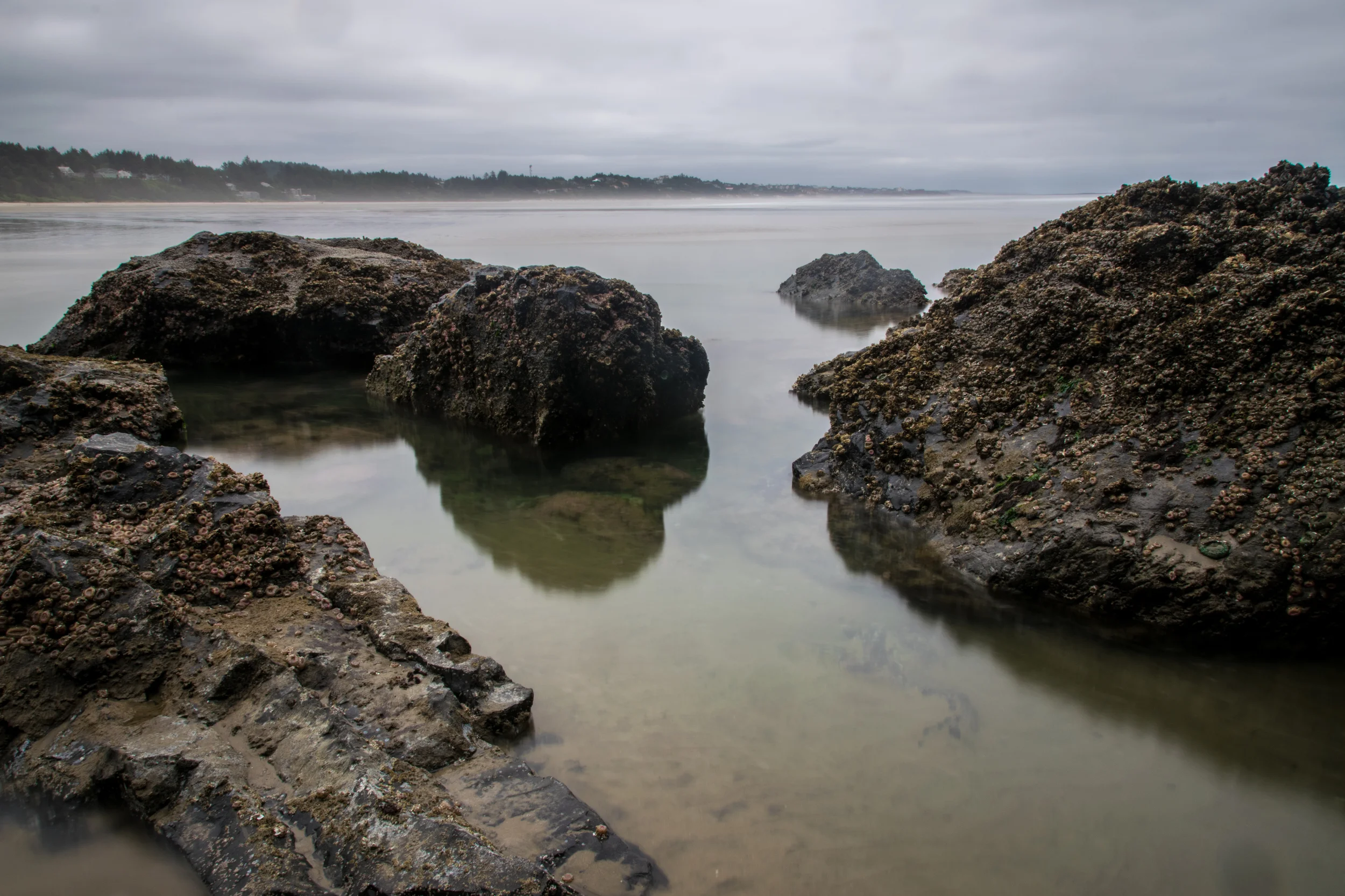 Low tide