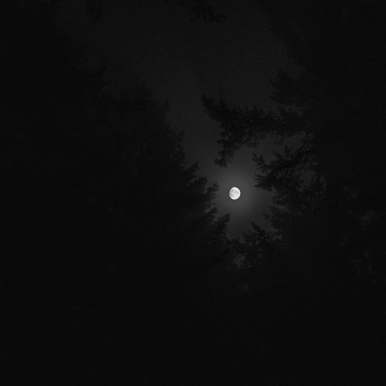 The lesser light