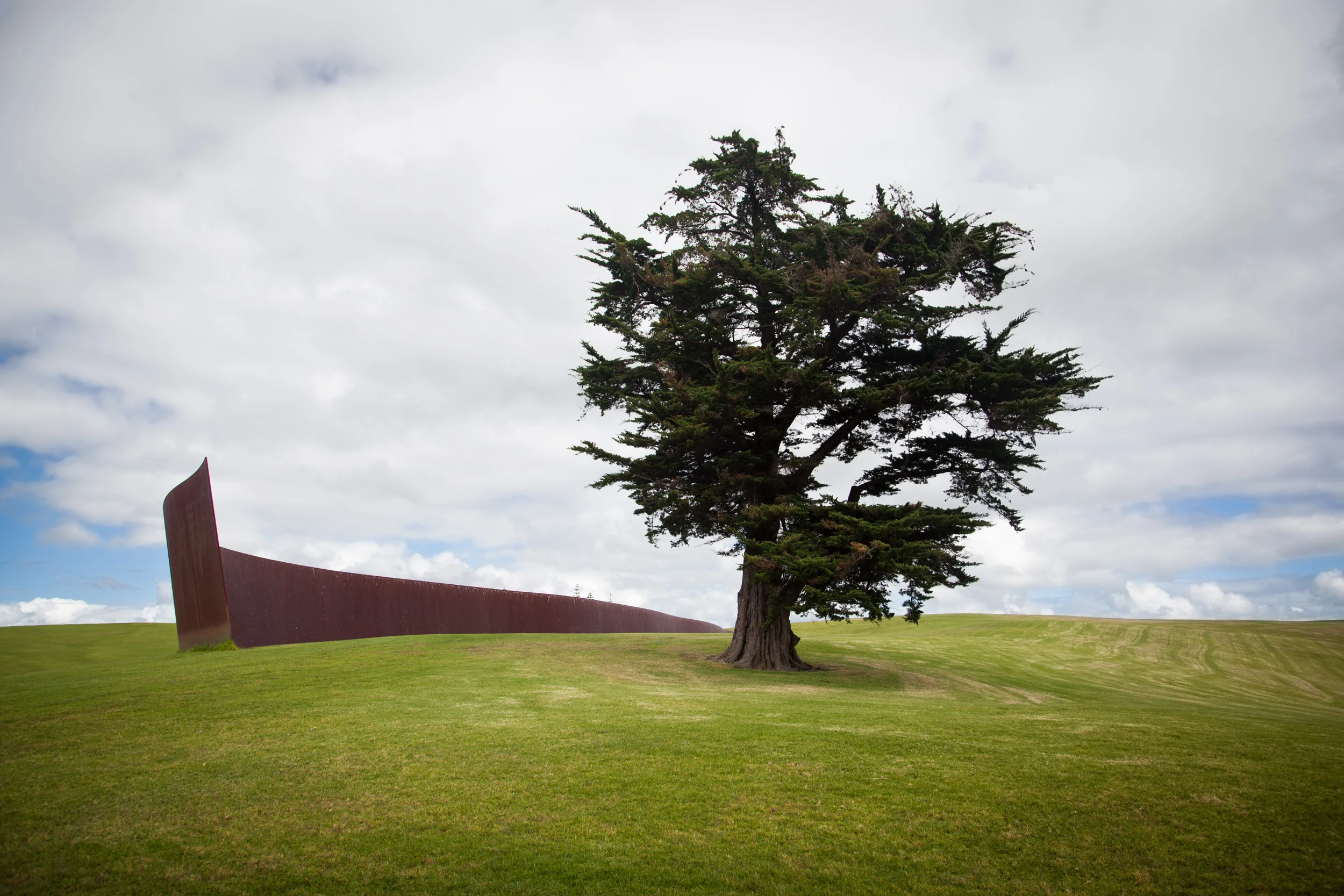 Richard Serra.jpg