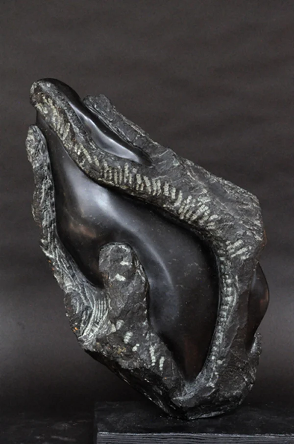 Soapstone I, 2017