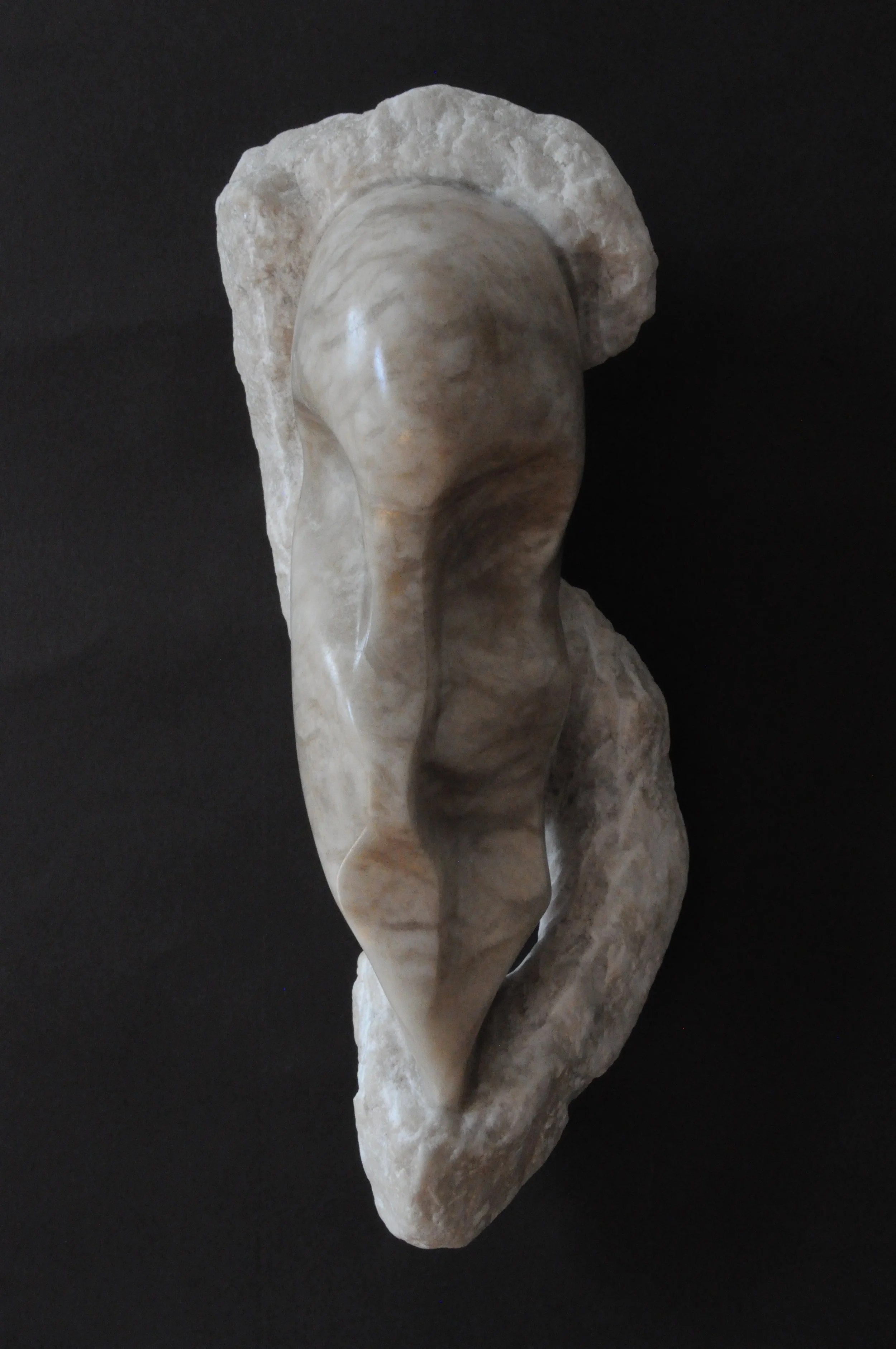 Untitled, 2018