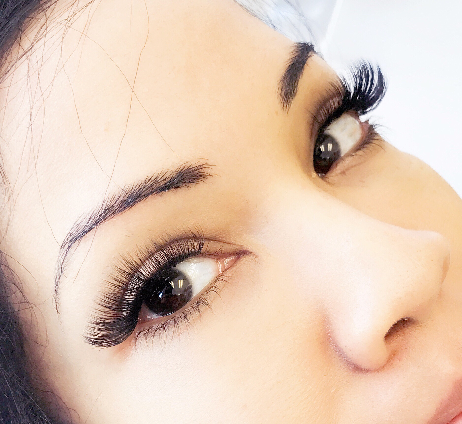 Volume Lashes