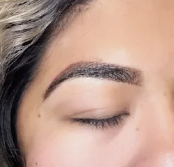 Soft powdered ombre brows