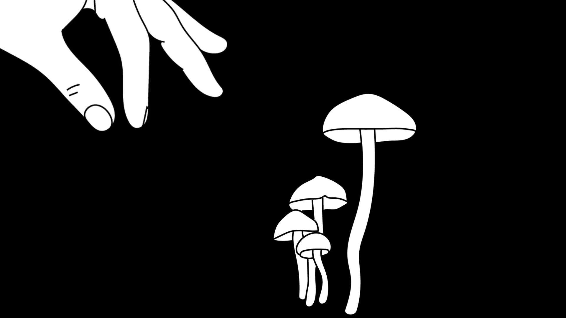 MUSHROOM GIF