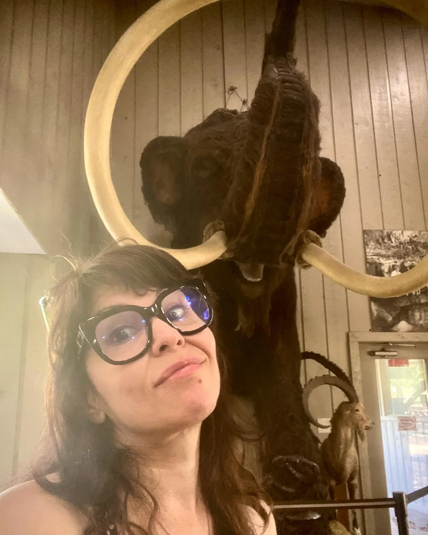 Texas visit day 2 - Road trip 🪨 🦖 ✨✨✨ #innerspacecaverns