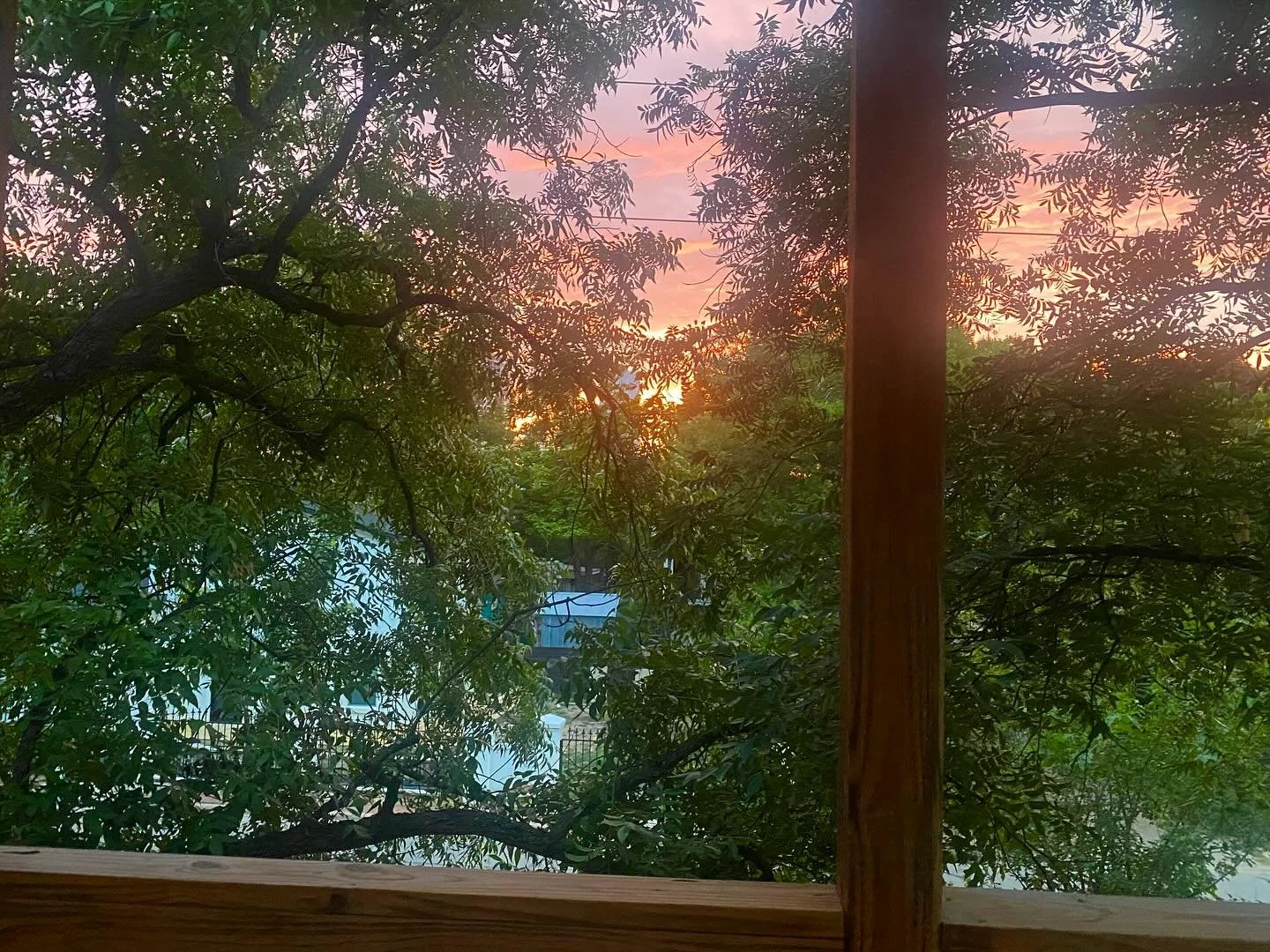 Having a great time back home&hellip;Visiting family that didn&rsquo;t even allow cats inside the house when I was growing up 🤪