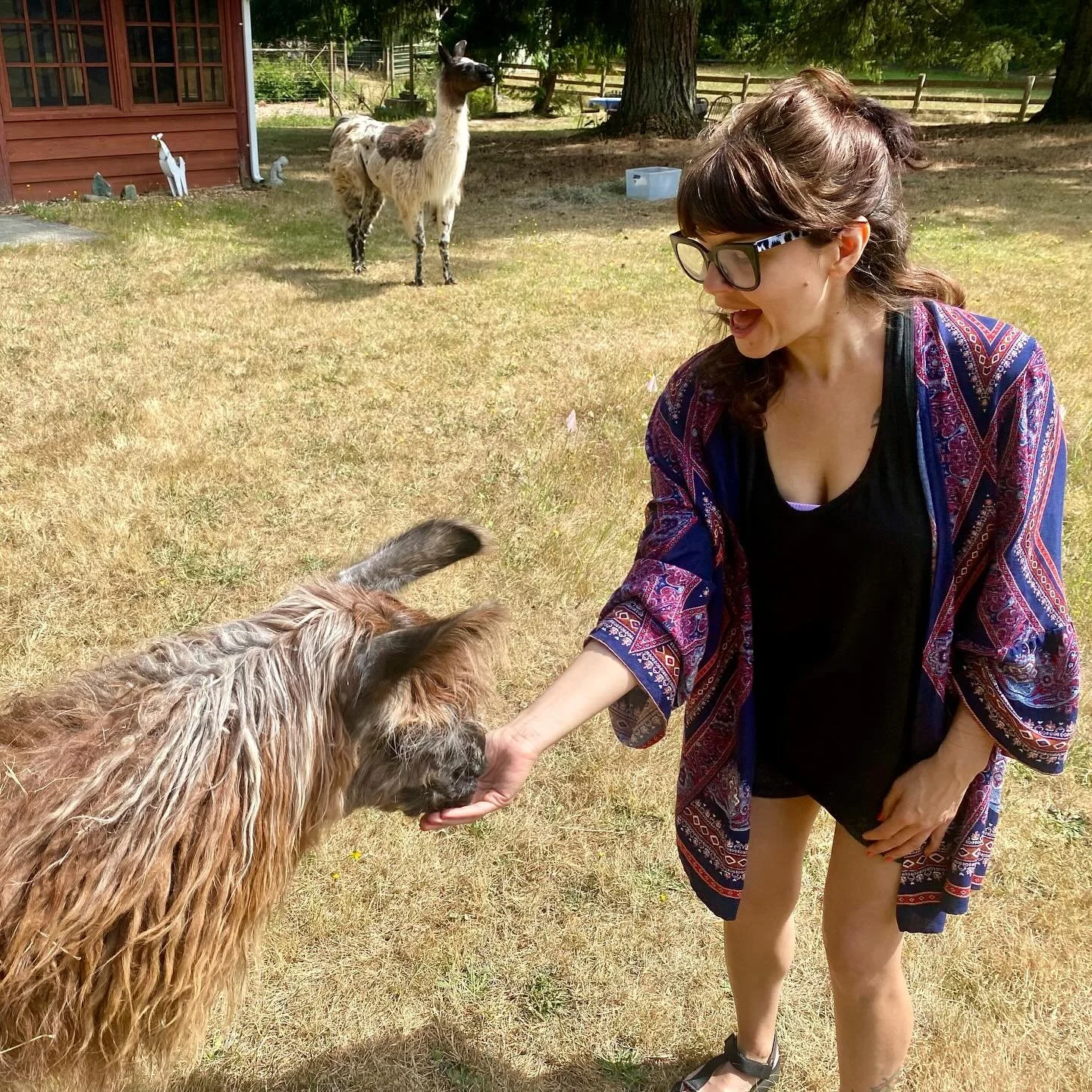 We went to llama school! 🦙💝

It&rsquo;s my first ever trip to vashon&hellip;pretty fun so far 🏔️✨

#llamaschool