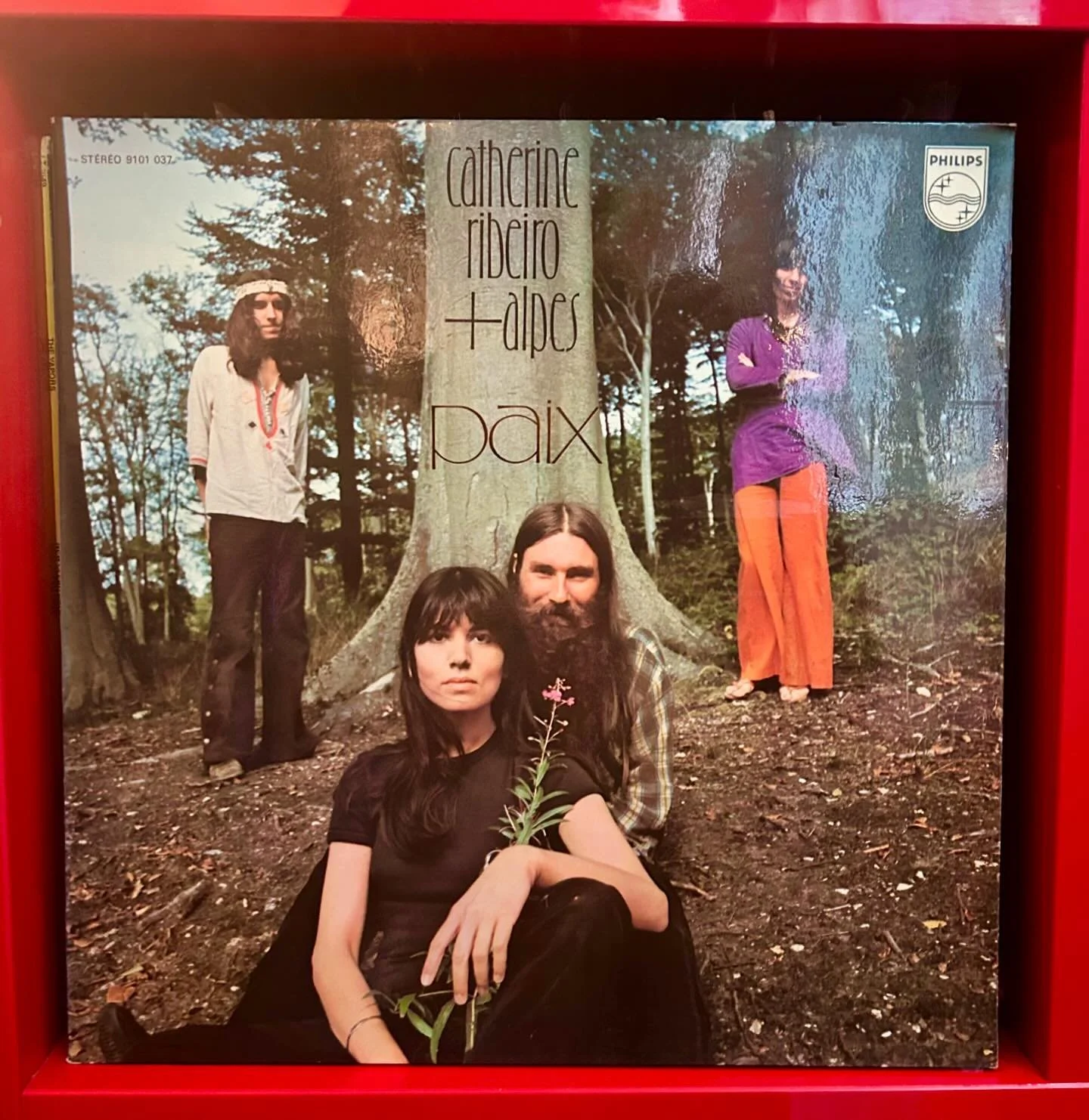 #catherineribeiro 🌹💫
22 September 1941 &mdash; 23 August 2024