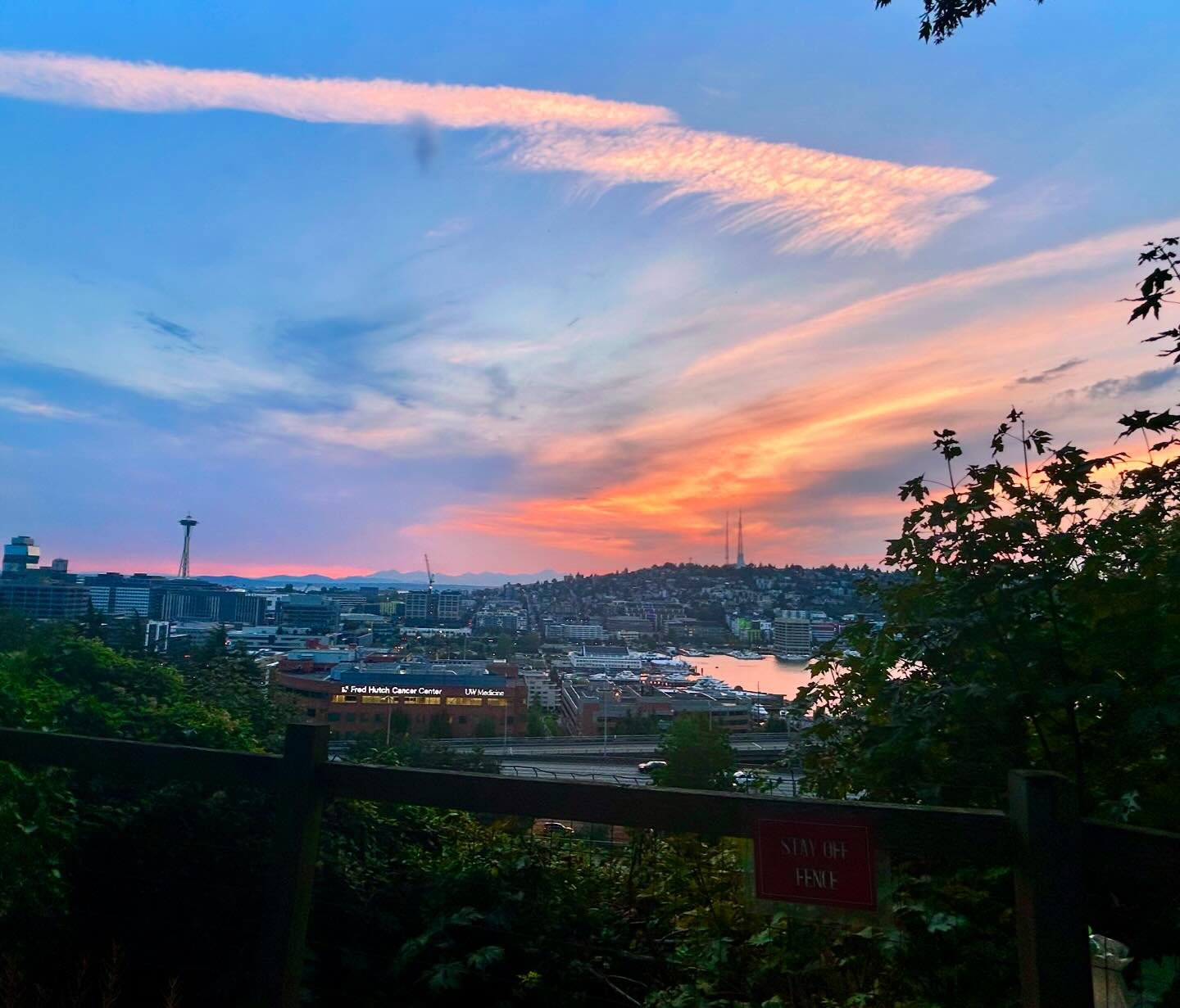 Early sunset sky report 🌇