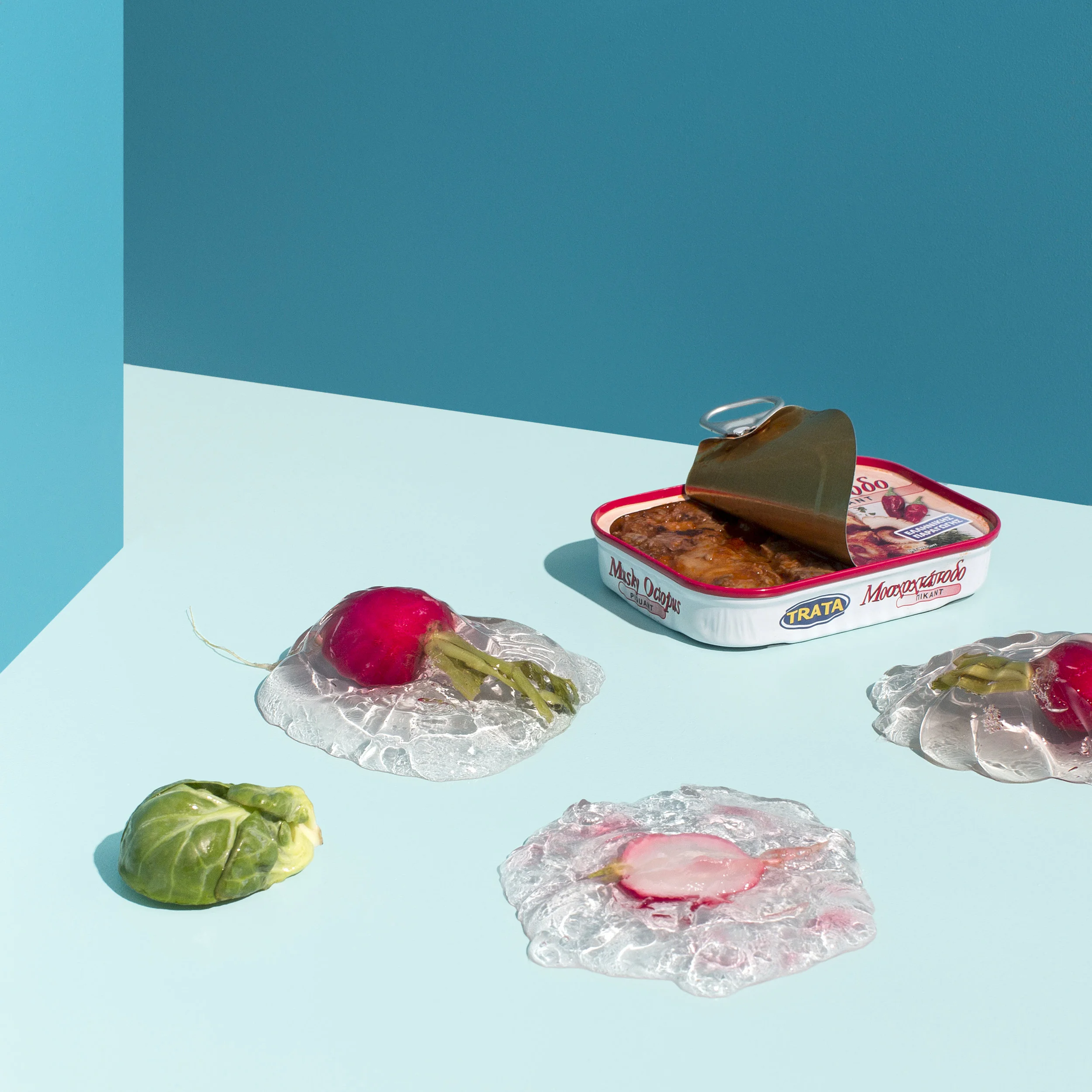 JELLY-2381.jpg