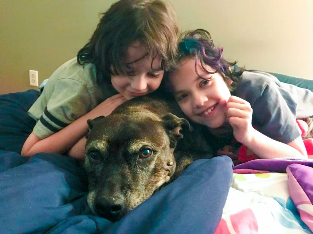 9 year old adopts oldest dog in the shelter