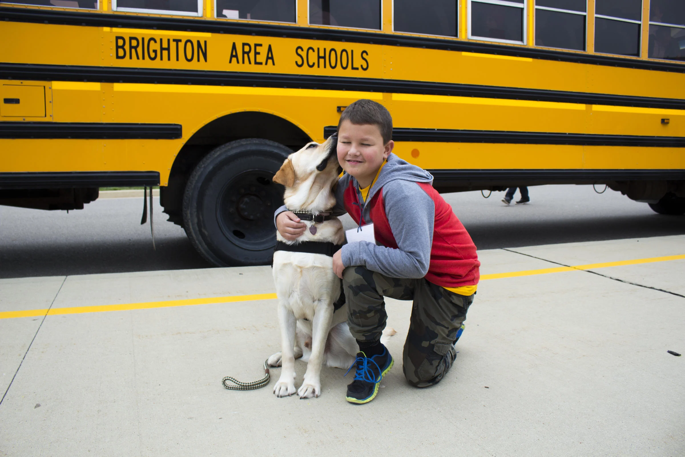 Entire school district in Michigan is getting  therapy dogs thanks to community donations 