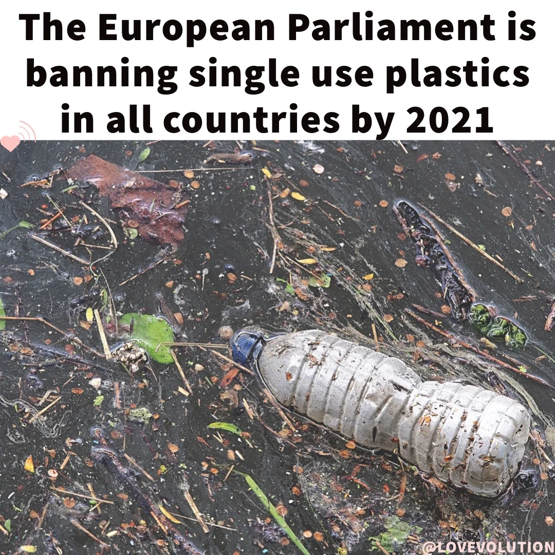 The EU is banning single use plastics by 2021