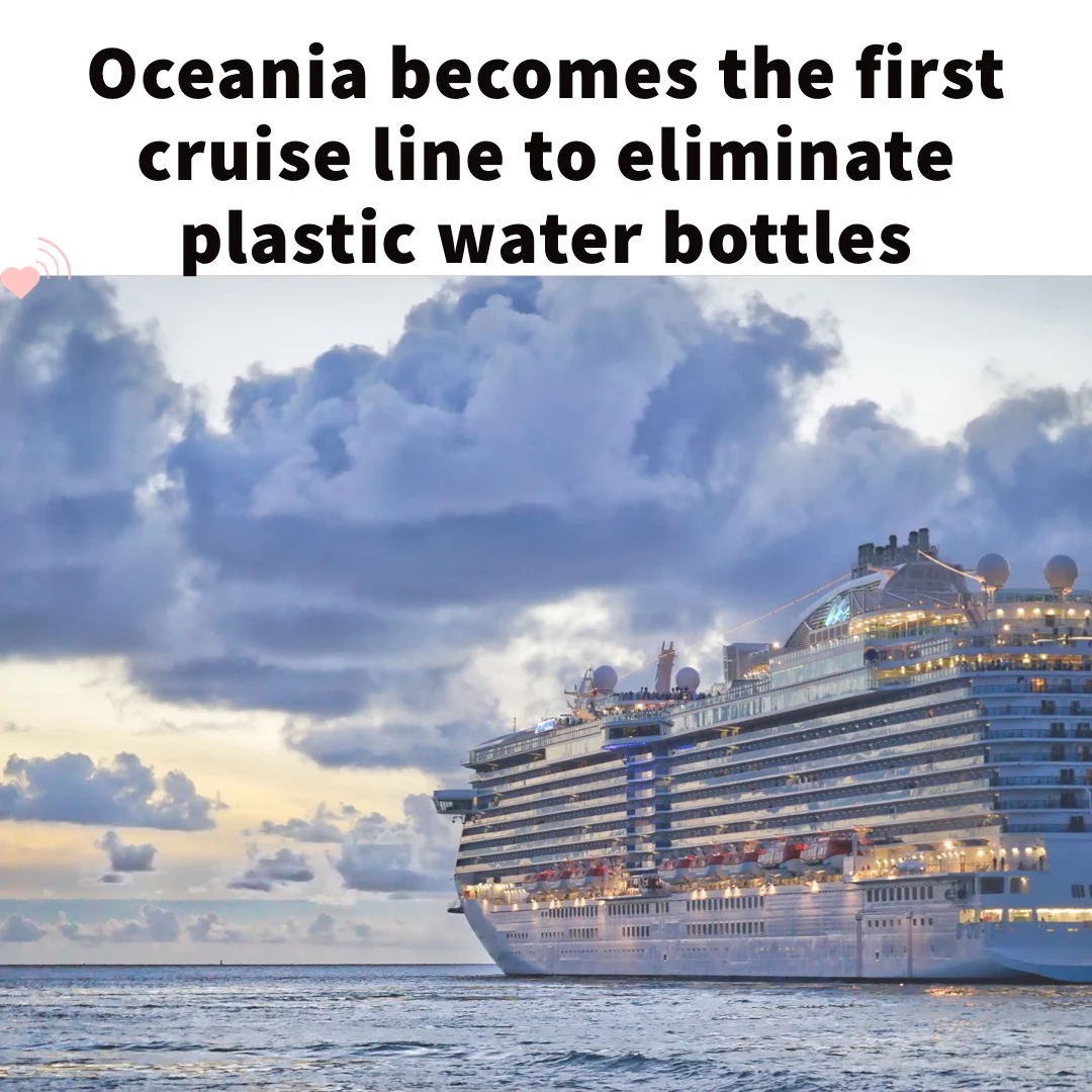Oceania becomes first cruise line to ditch plastic bottles 
