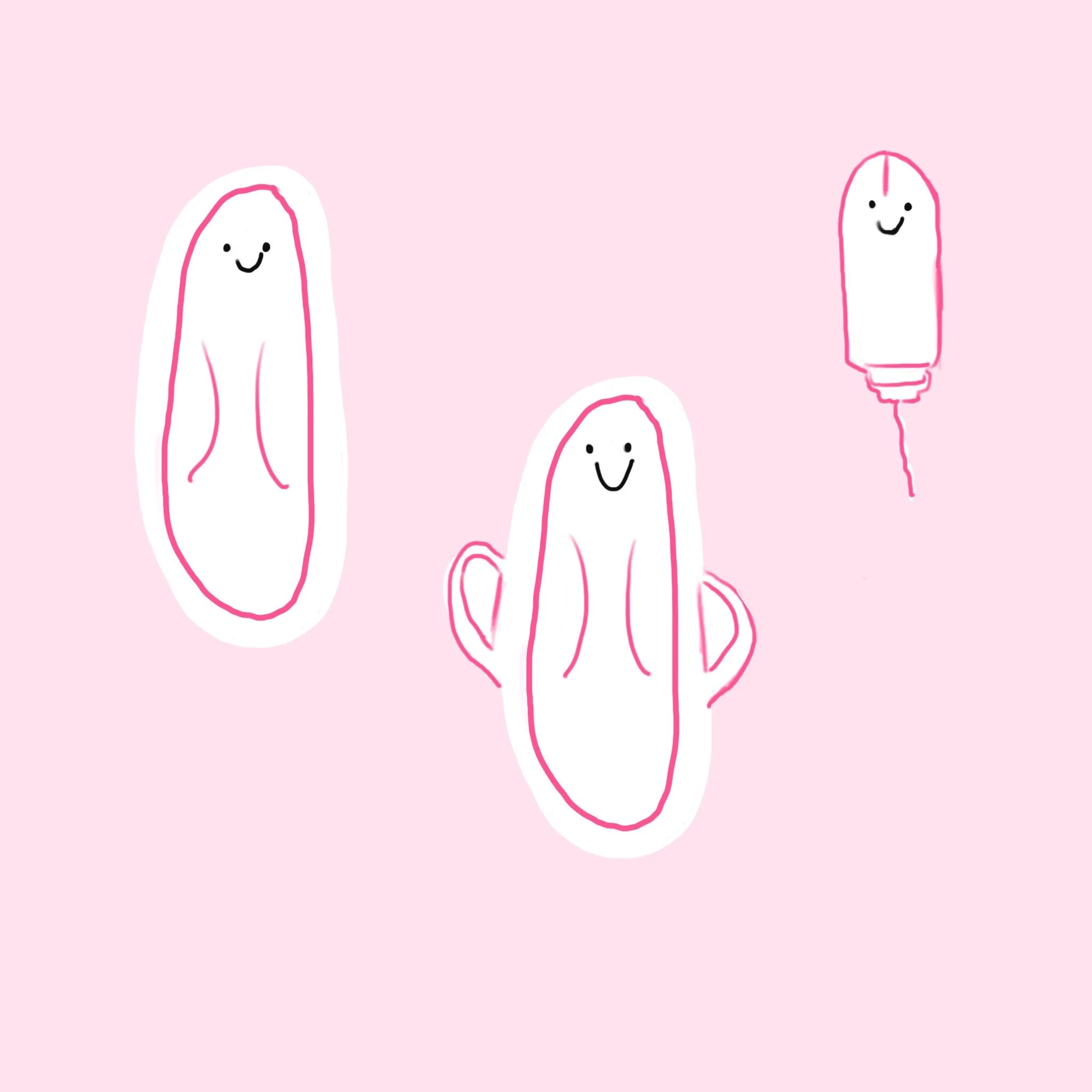 Scotland becomes first country to offer free menstrual products and end period poverty